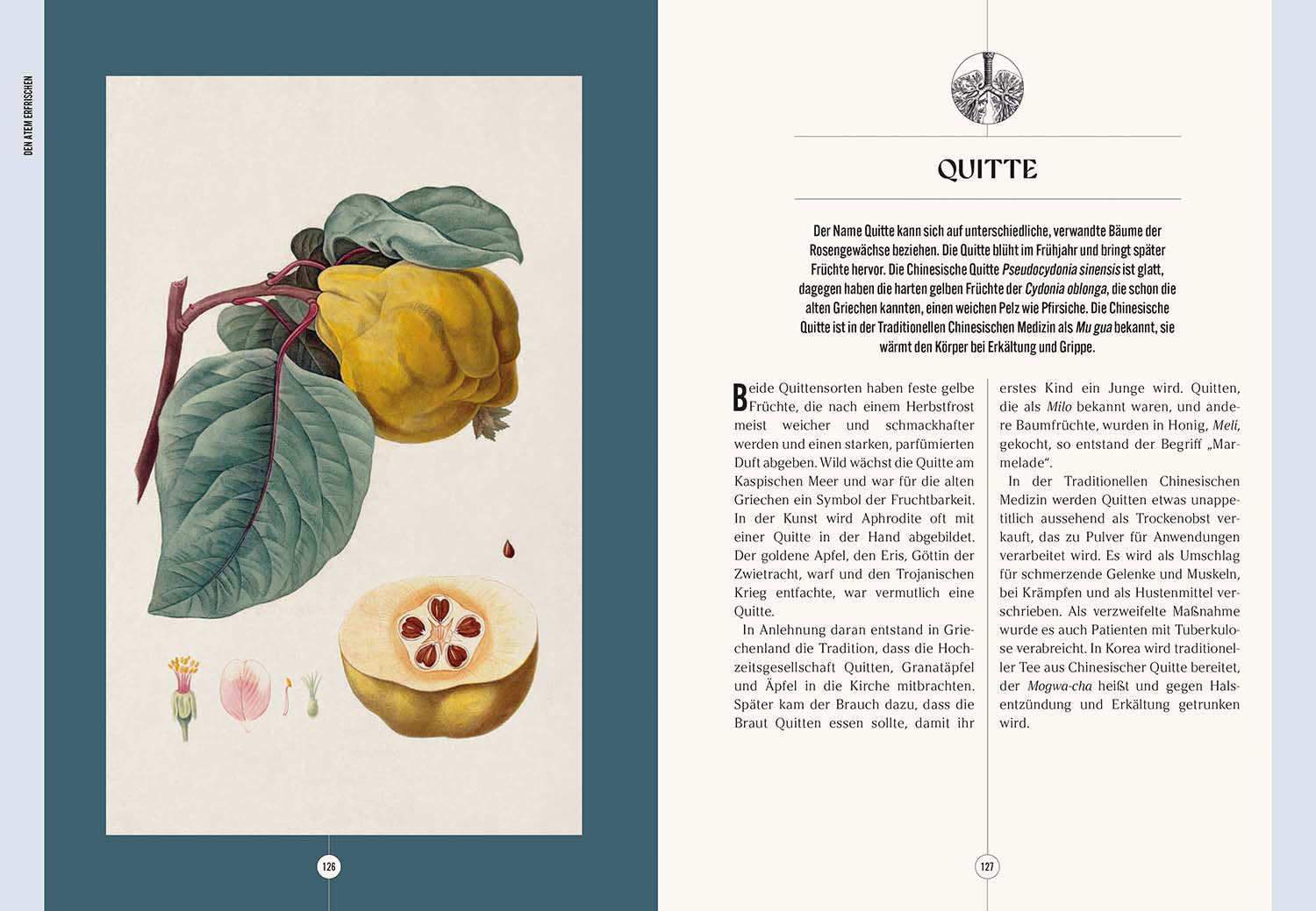 Der Garten des Apothekers, Produktbild 3