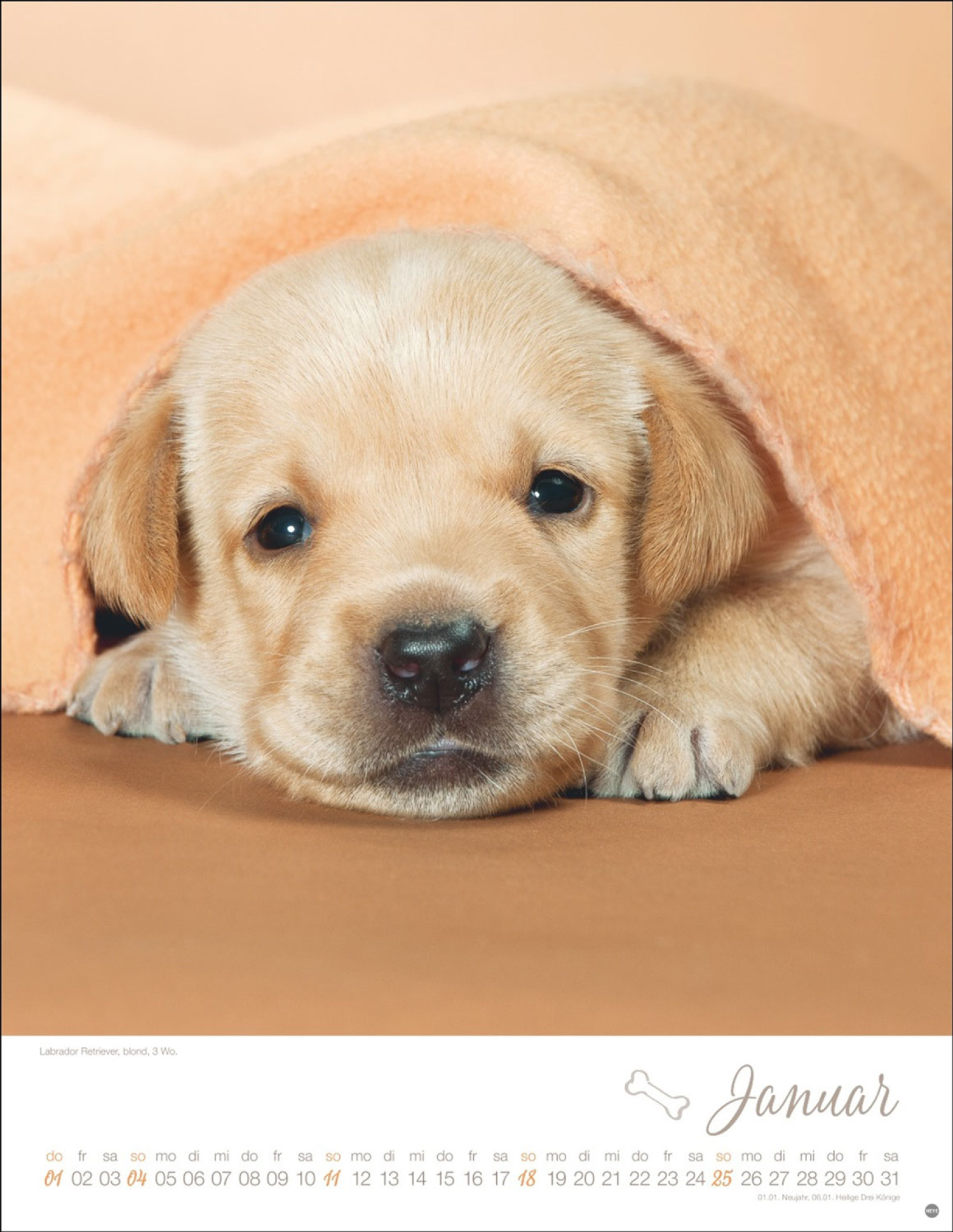 Hundekinder 2026, Produktbild 2