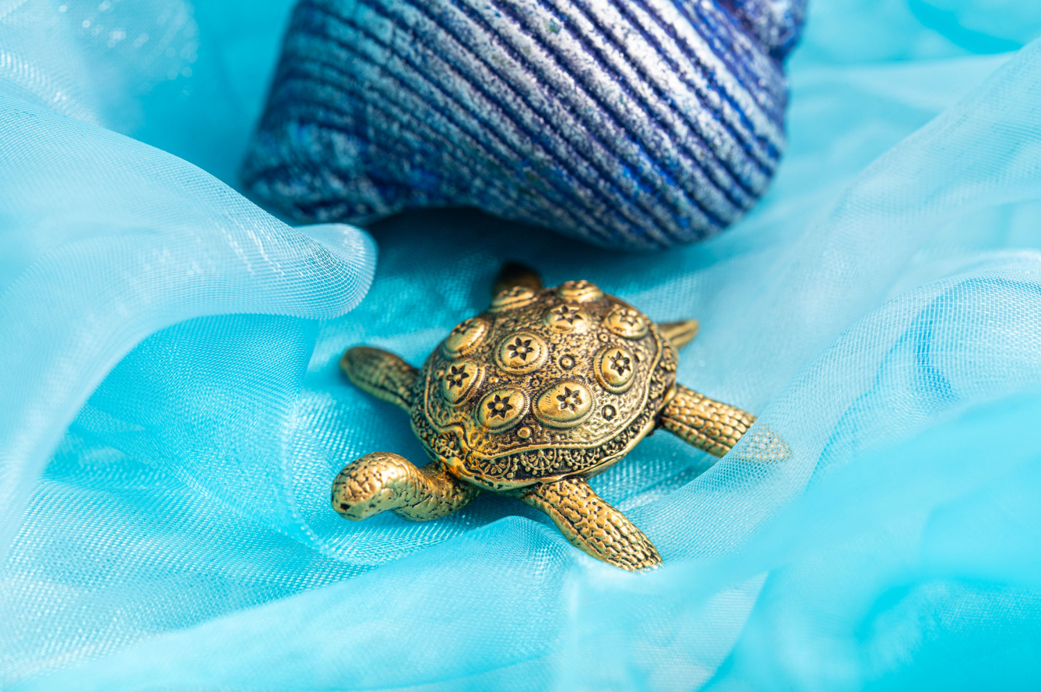 Schildkröte, Produktbild 2