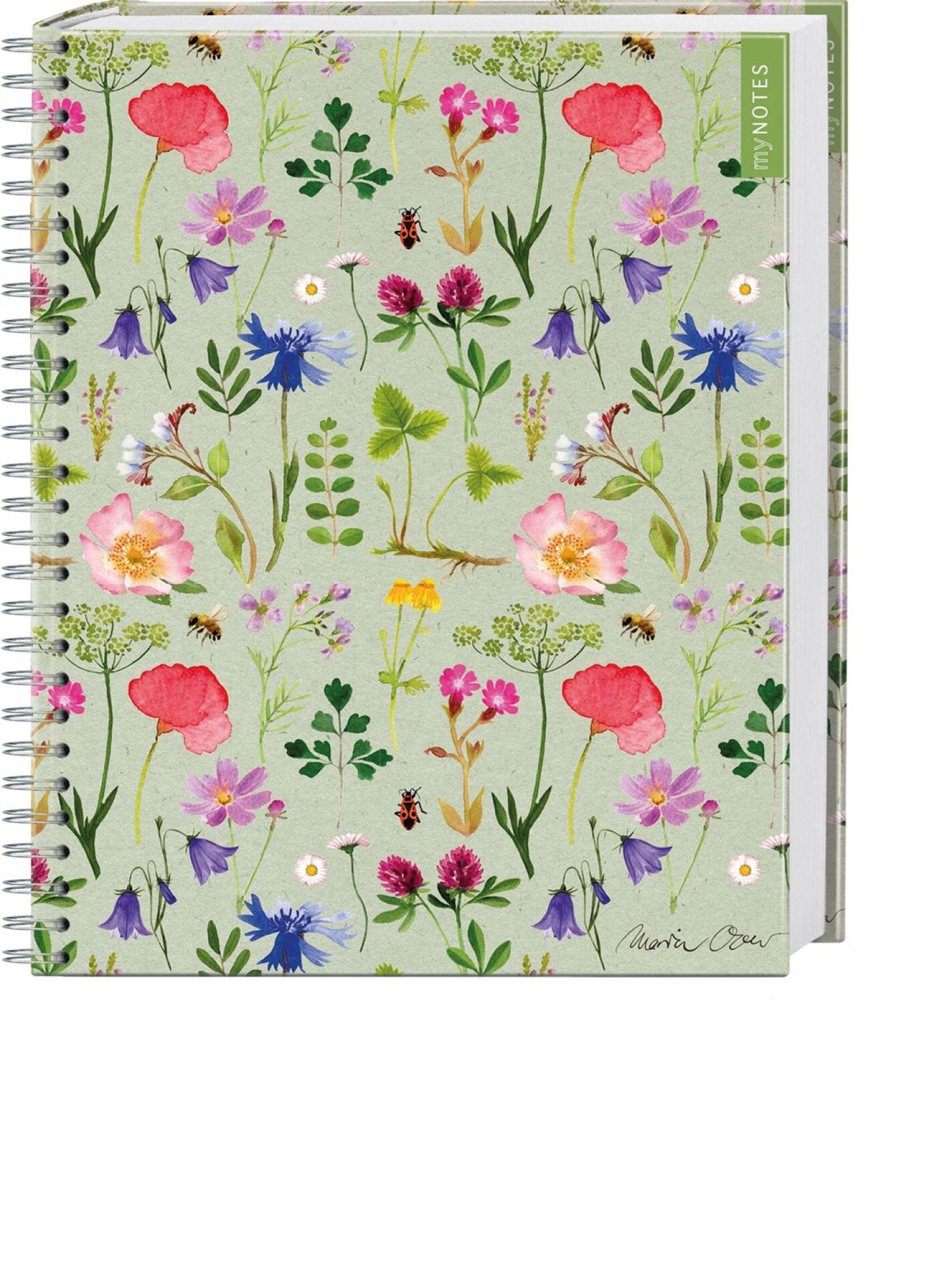 Ringbuch "Naturschätze", Produktbild 1