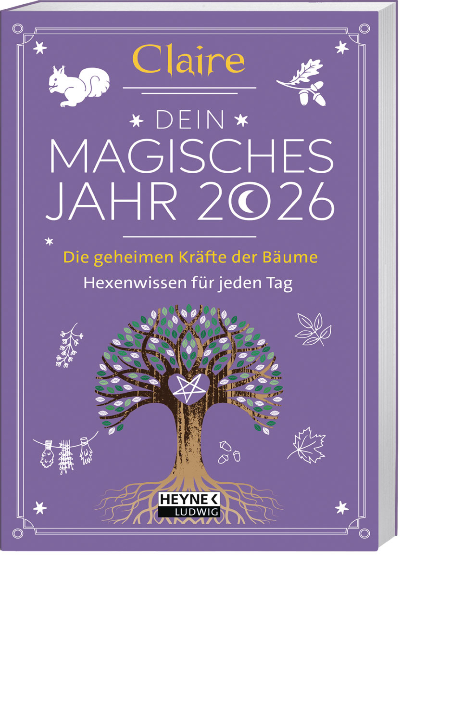 Dein magisches Jahr 2026, Produktbild 1