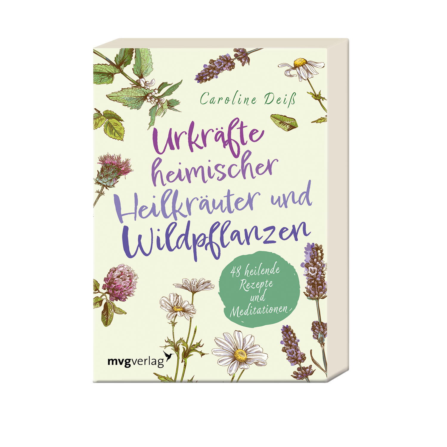 Urkräfte heimischer Heilkräuter und Wildpflanzen, Produktbild 1