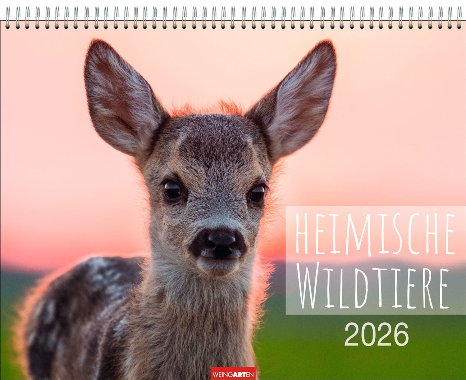 Heimische Wildtiere 2026, Produktbild 1