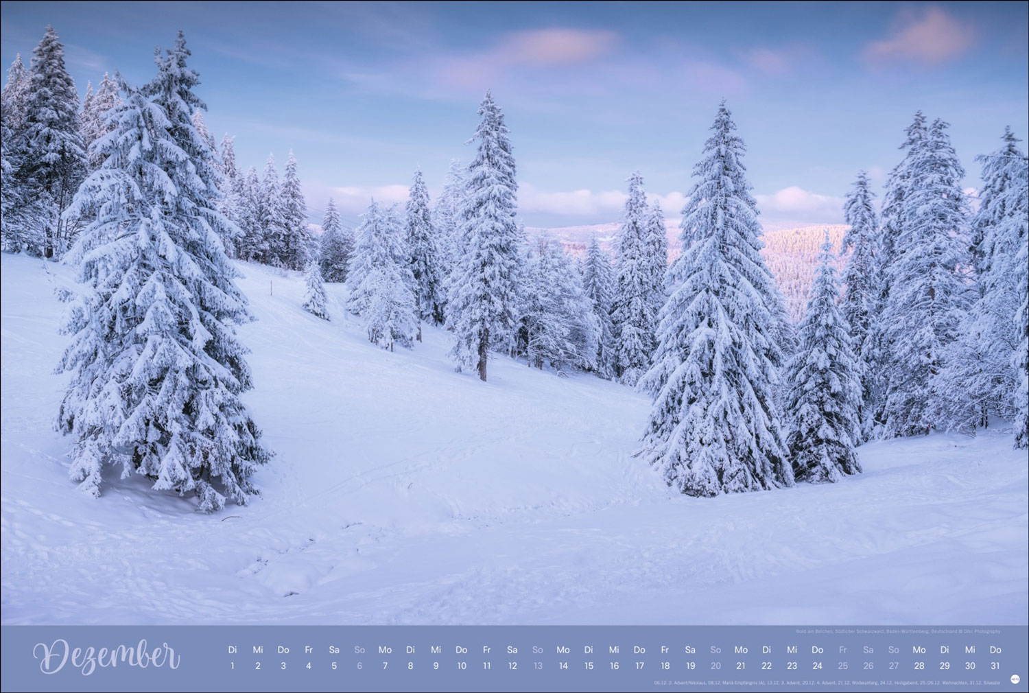 Zauberwälder 2026, Produktbild 3