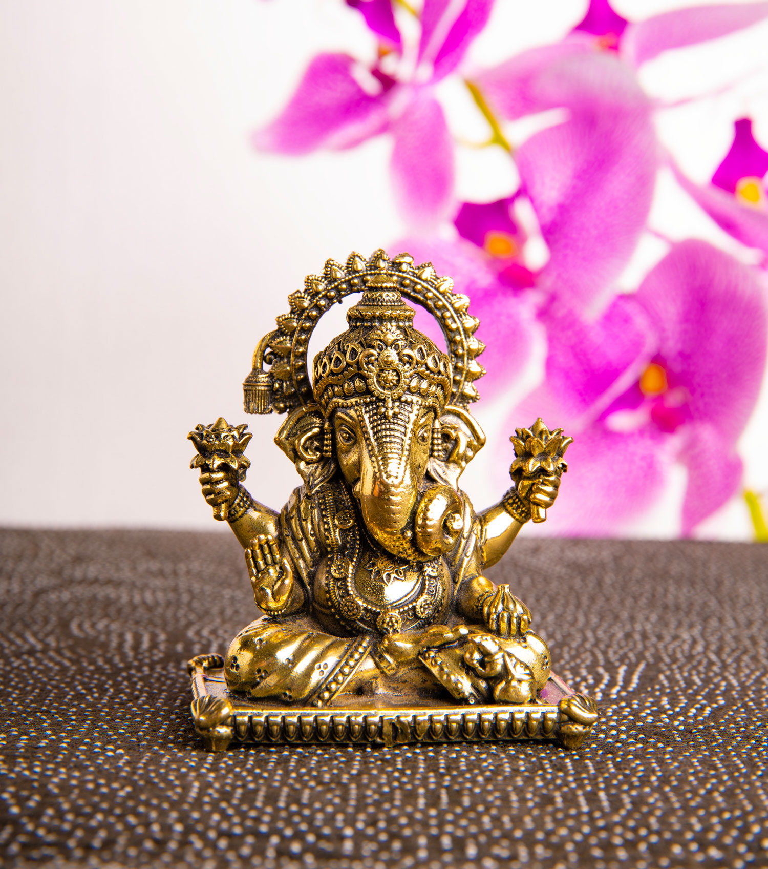 Ganesha, Produktbild 2