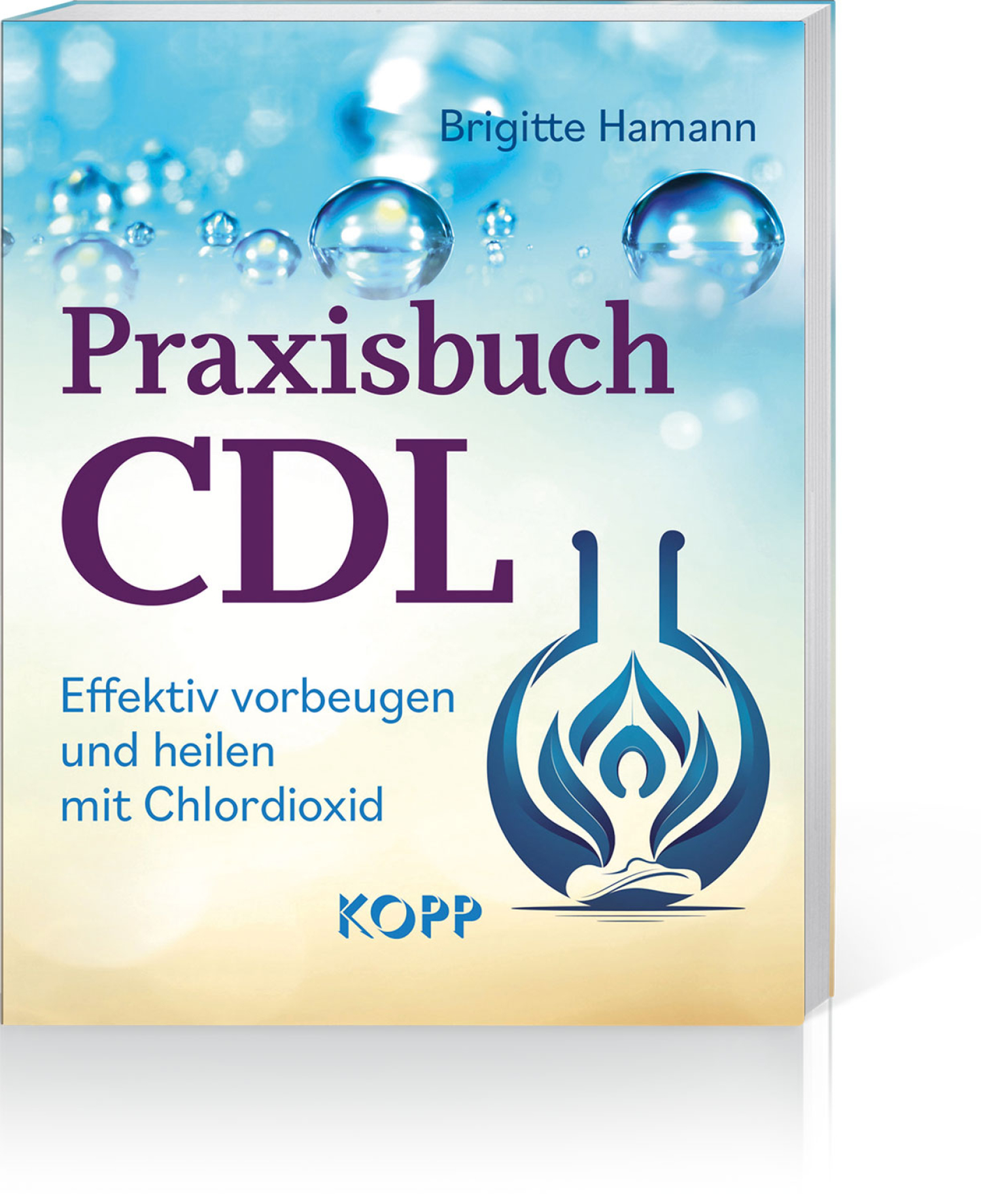 Praxisbuch CDL, Produktbild 1