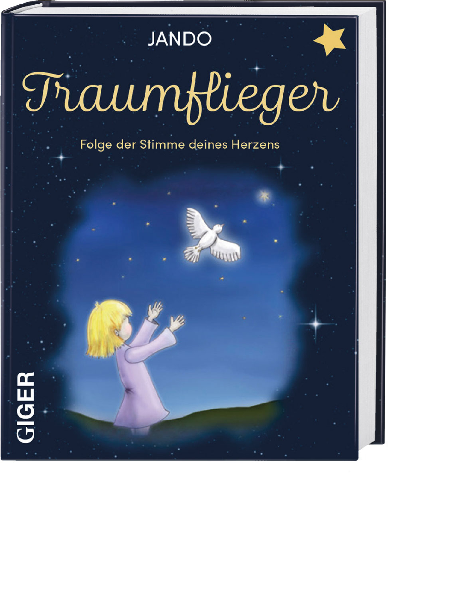 Traumflieger, Produktbild 1