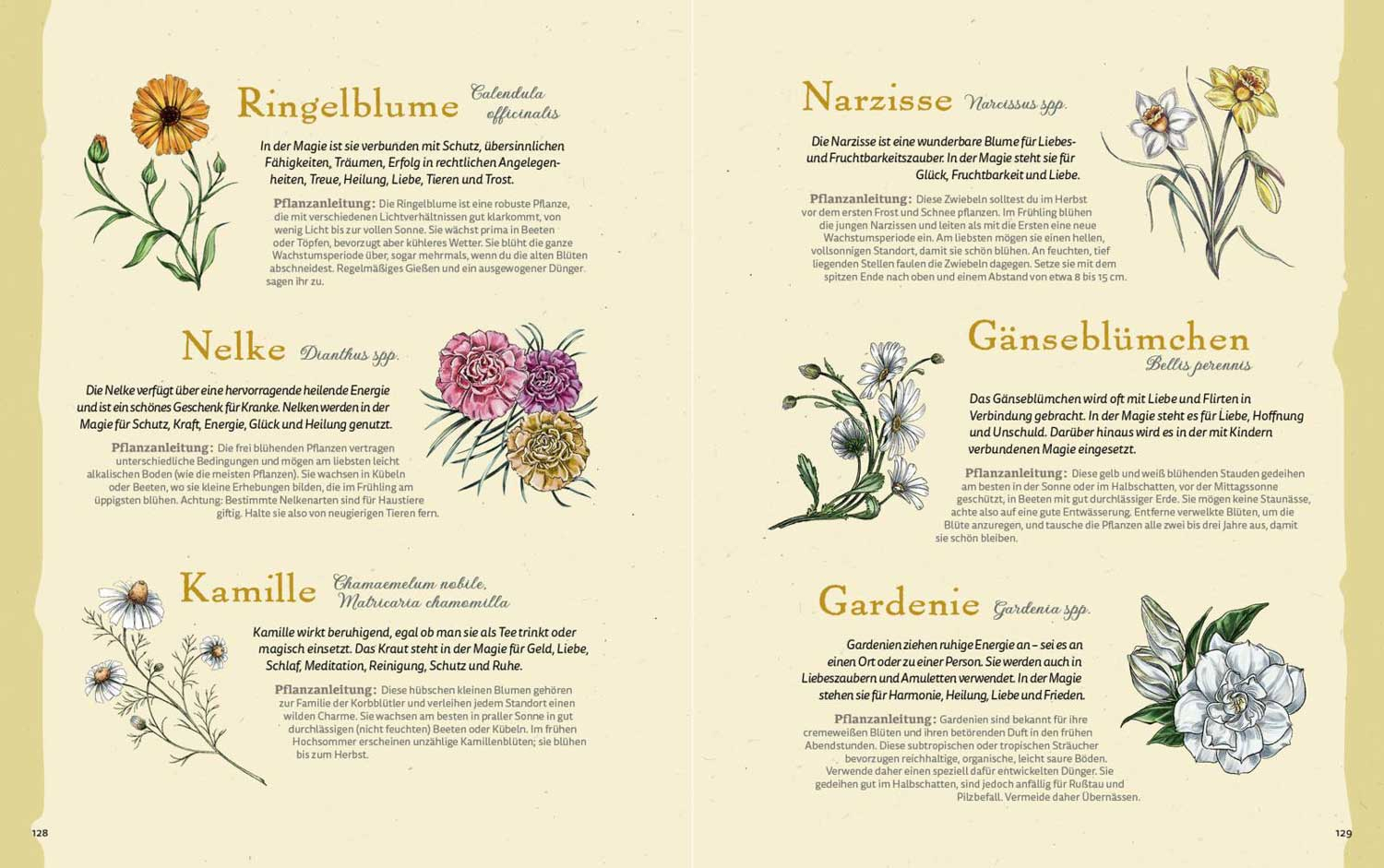 Grüne Magie – eine illustrierte Reise, Produktbild 3