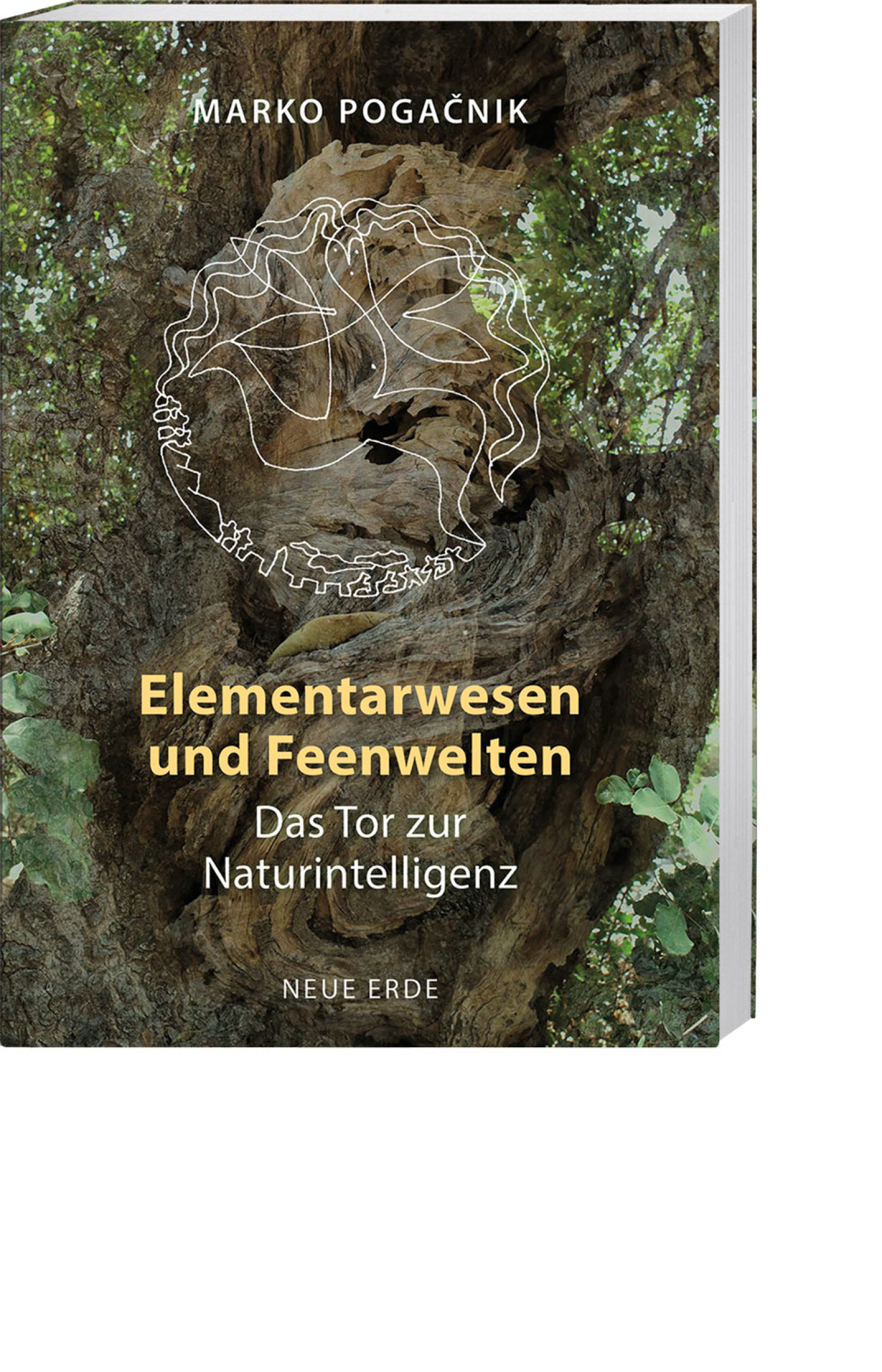 Elementarwesen und Feenwelten, Produktbild 1
