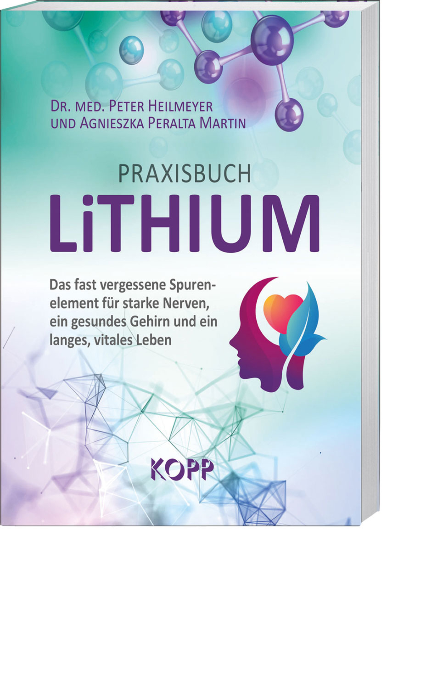 Praxisbuch Lithium, Produktbild 1