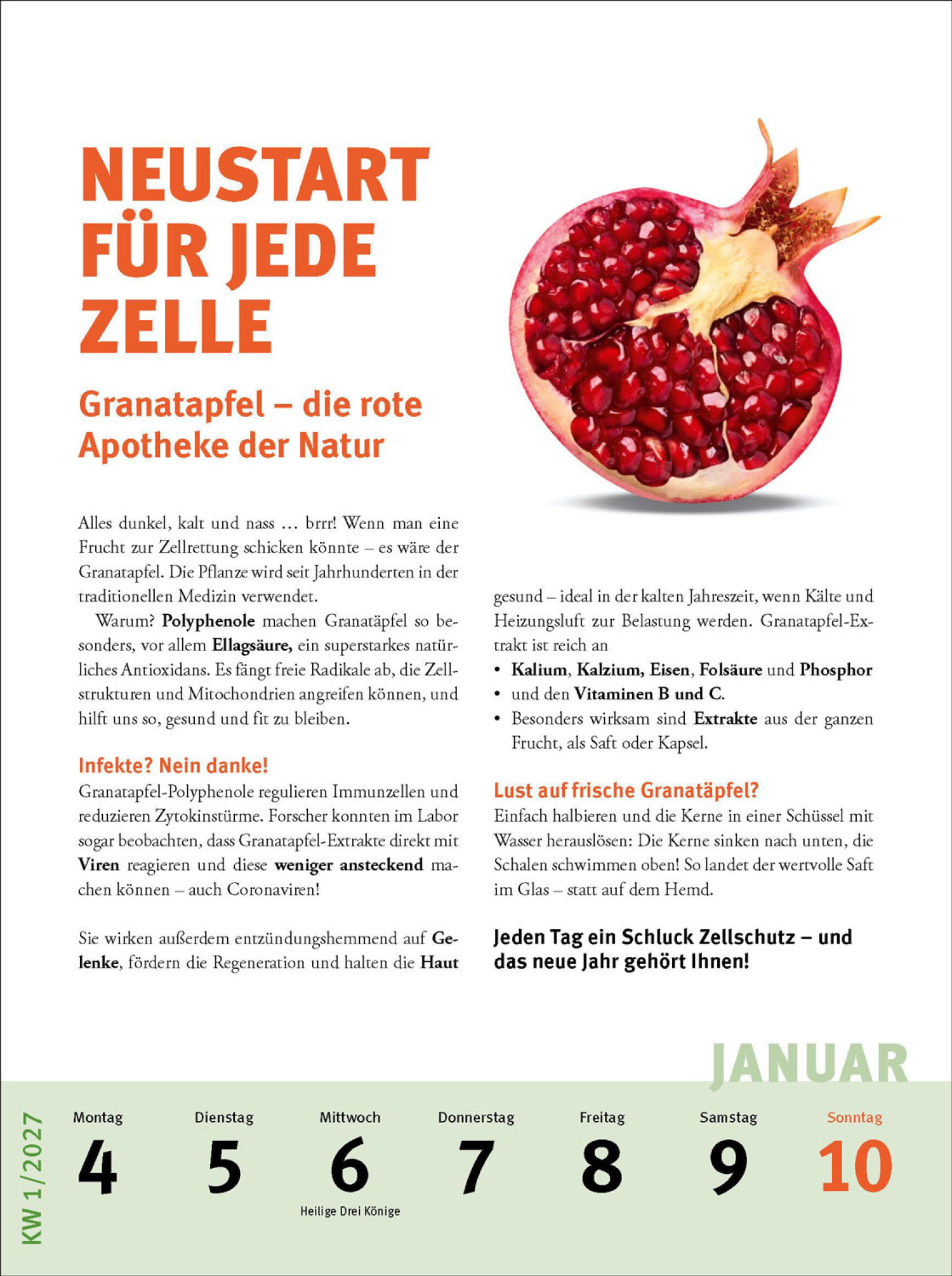 Fit und gesund durchs Jahr 2027, Produktbild 2
