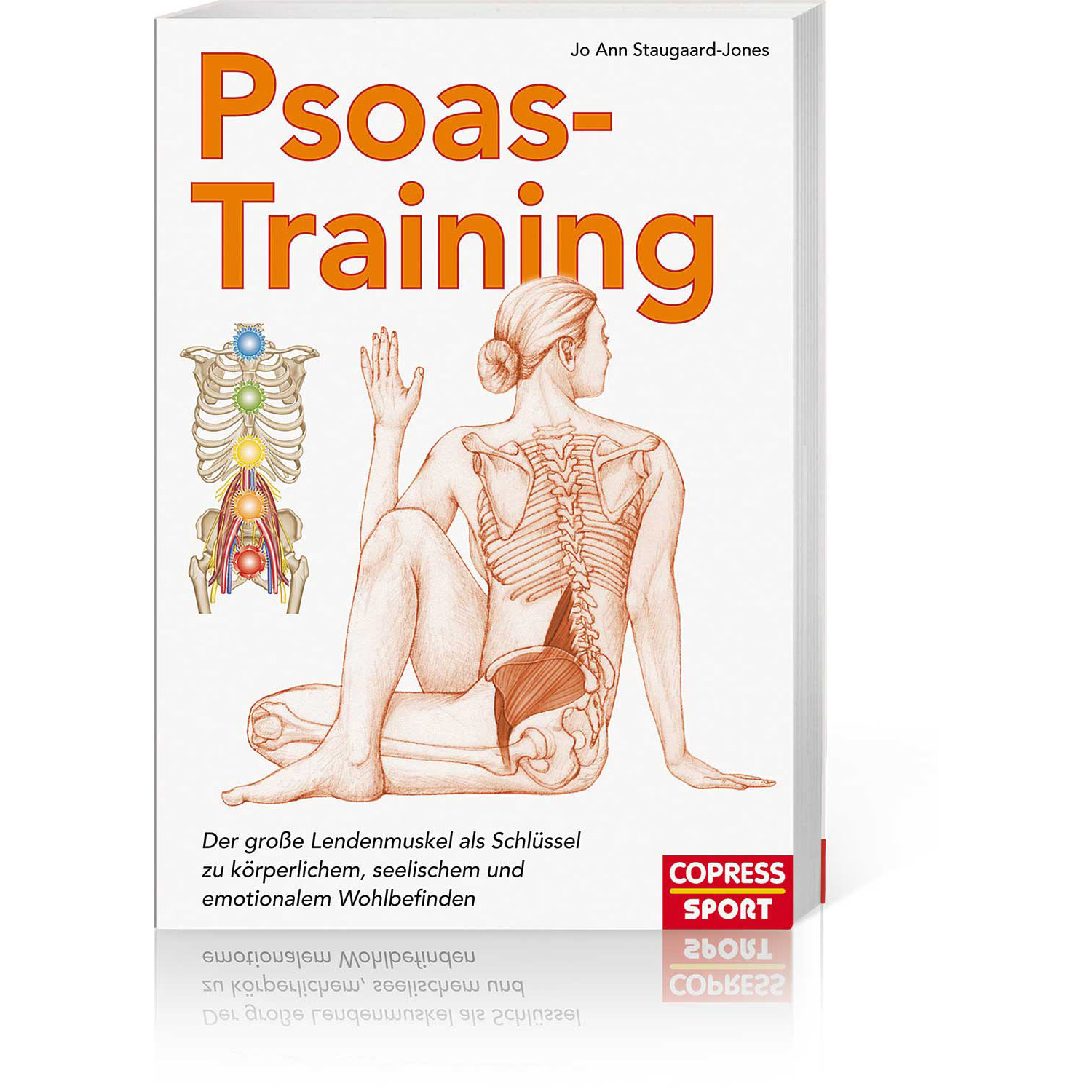 Psoas-Training, Produktbild 1