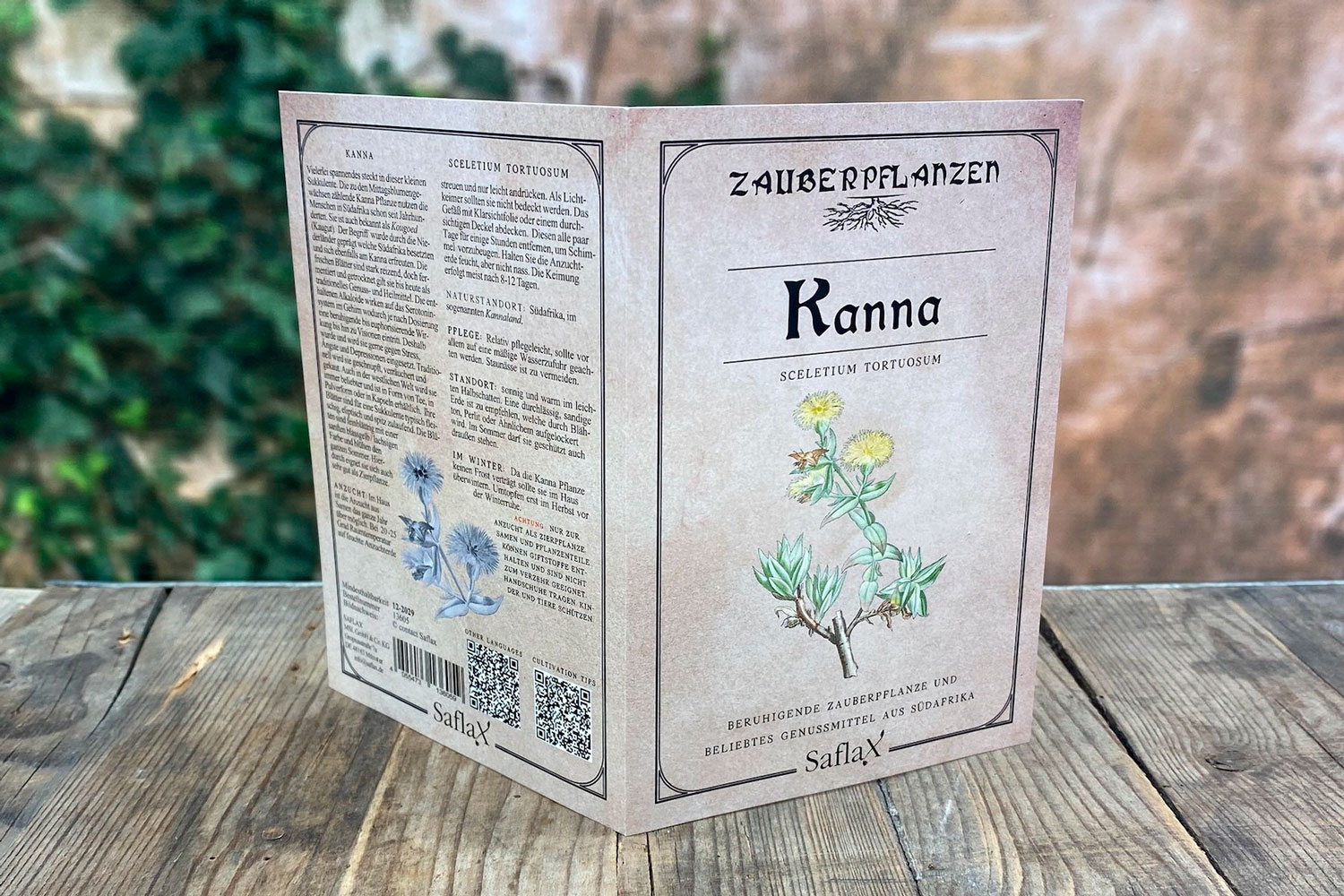 Zauberpflanzen „Kanna“, Samen, Produktbild 4