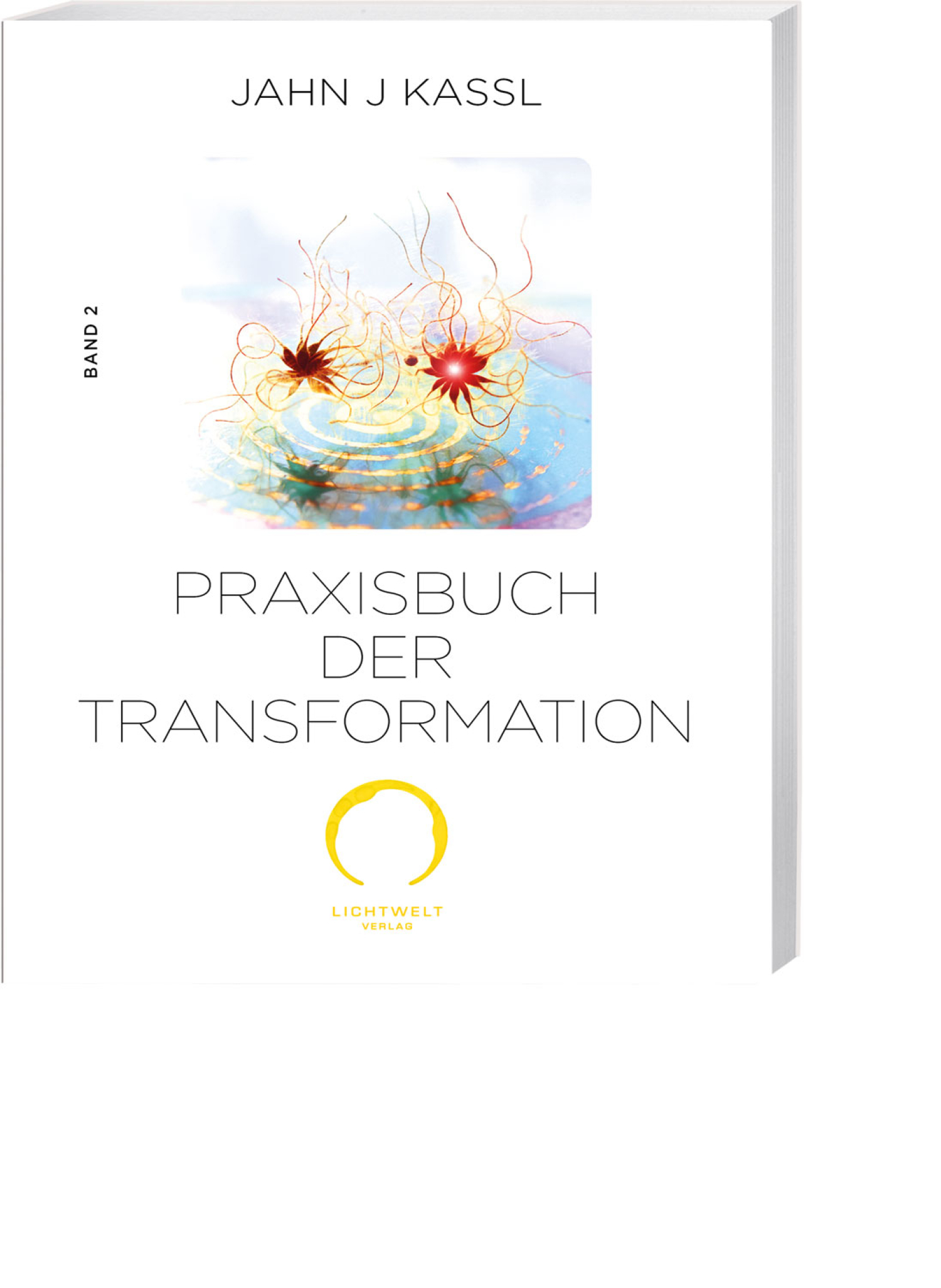 Praxisbuch der Transformation Band 2, Produktbild 1
