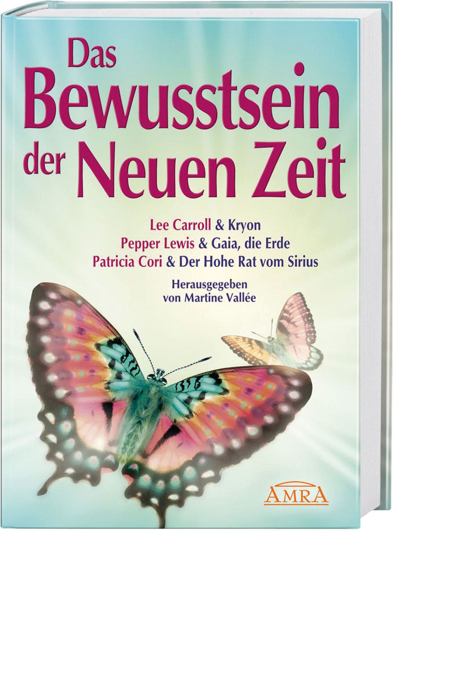 Das Bewusstsein der Neuen Zeit, Produktbild 1