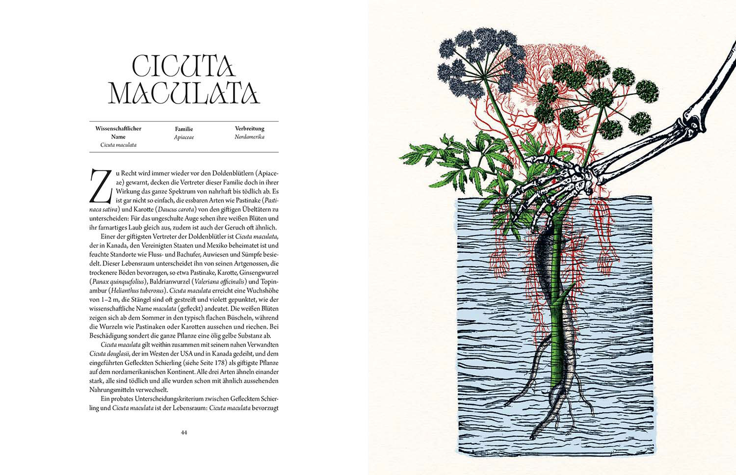 Atlas der tödlichen Pflanzen, Produktbild 2