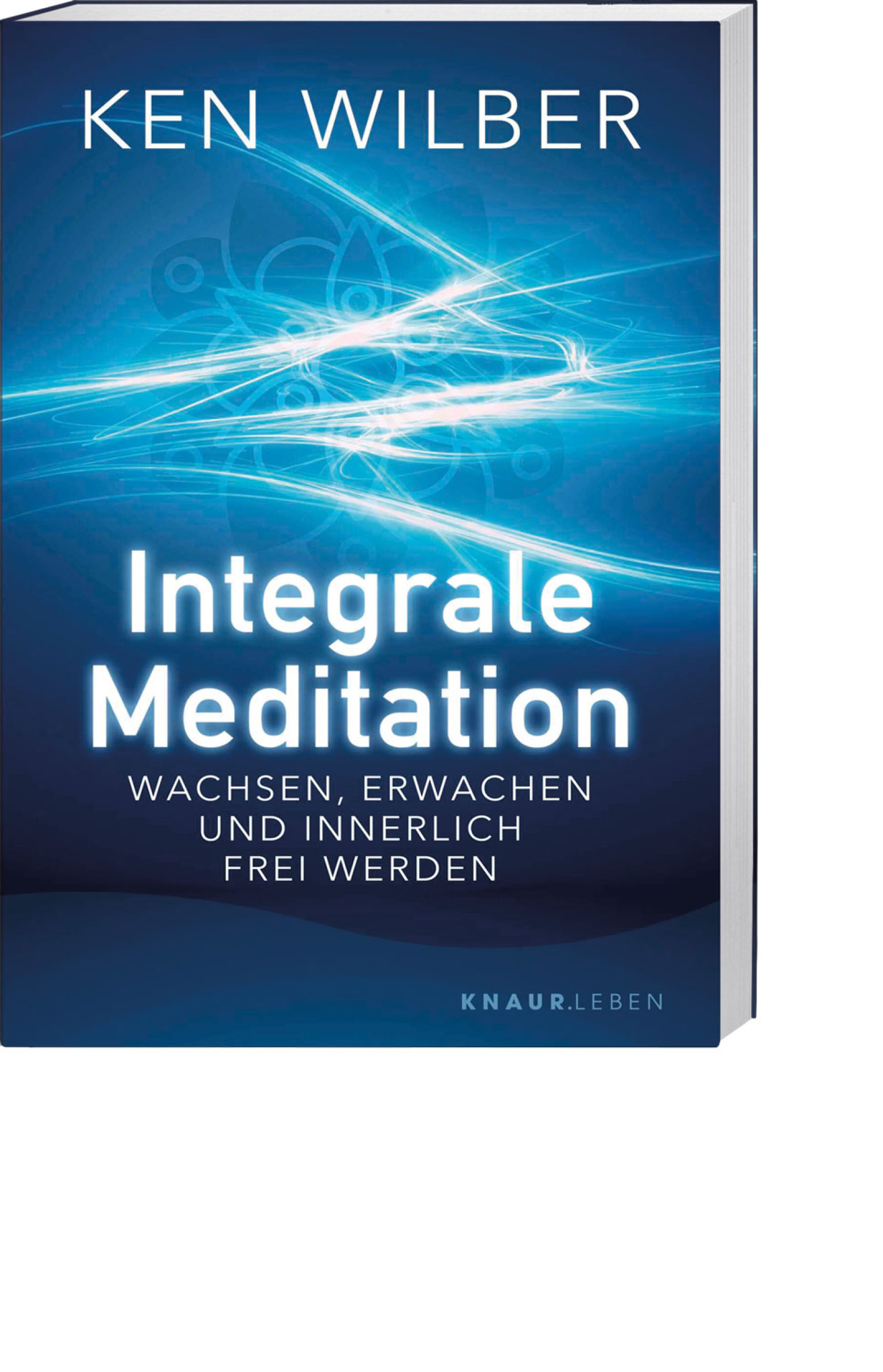 Integrale Meditation, Produktbild 1