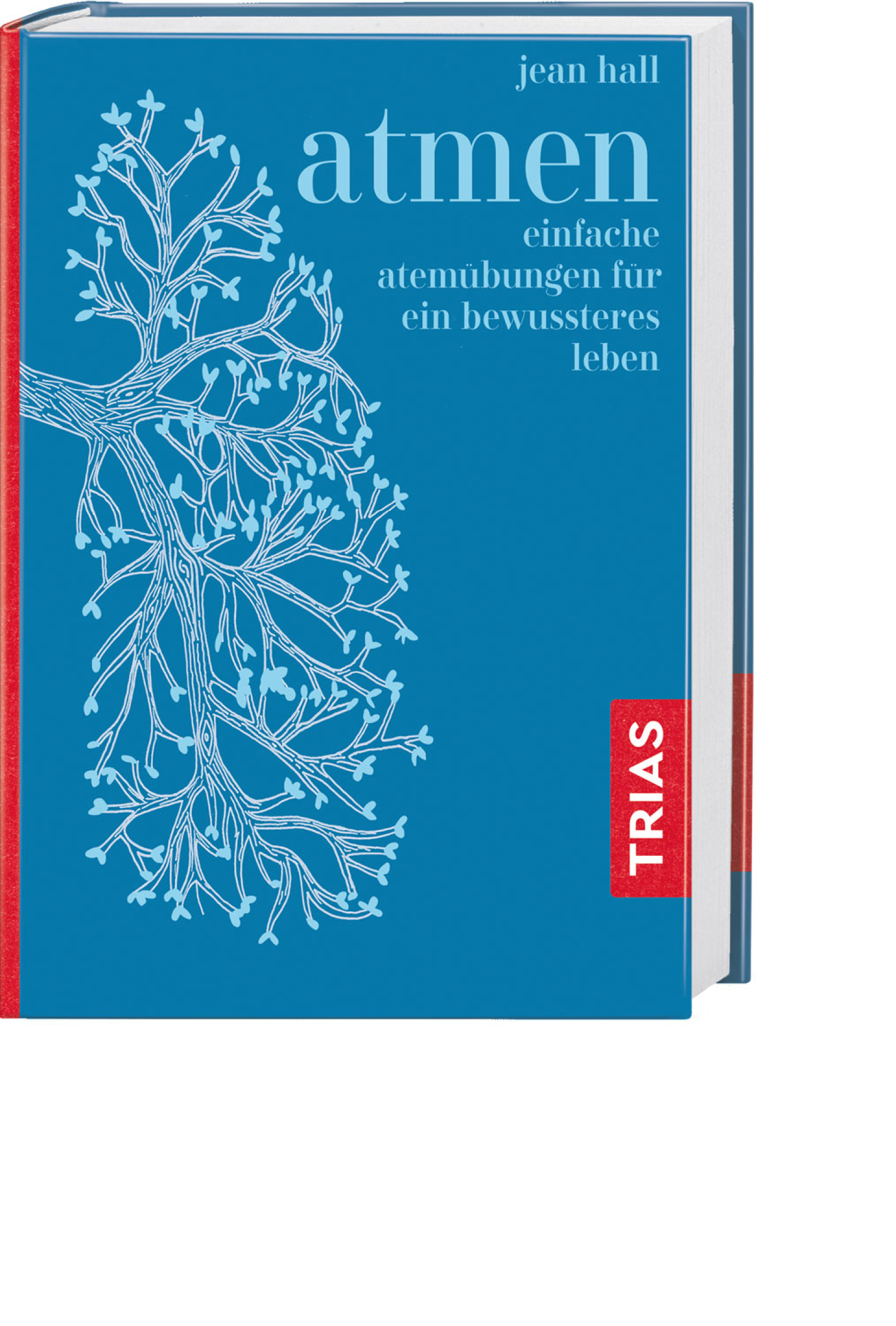 Atmen*, Produktbild 1