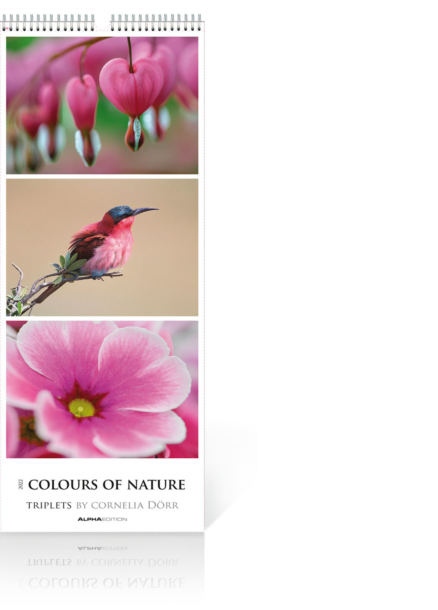 Colours of Nature – Triplets 2022, Produktbild 1