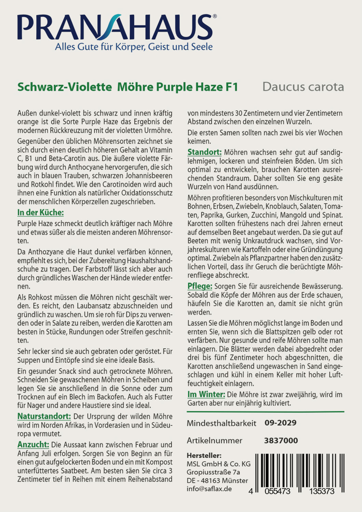 Schwarz-Violette Möhre „Purple Haze“, Samen, Produktbild 2