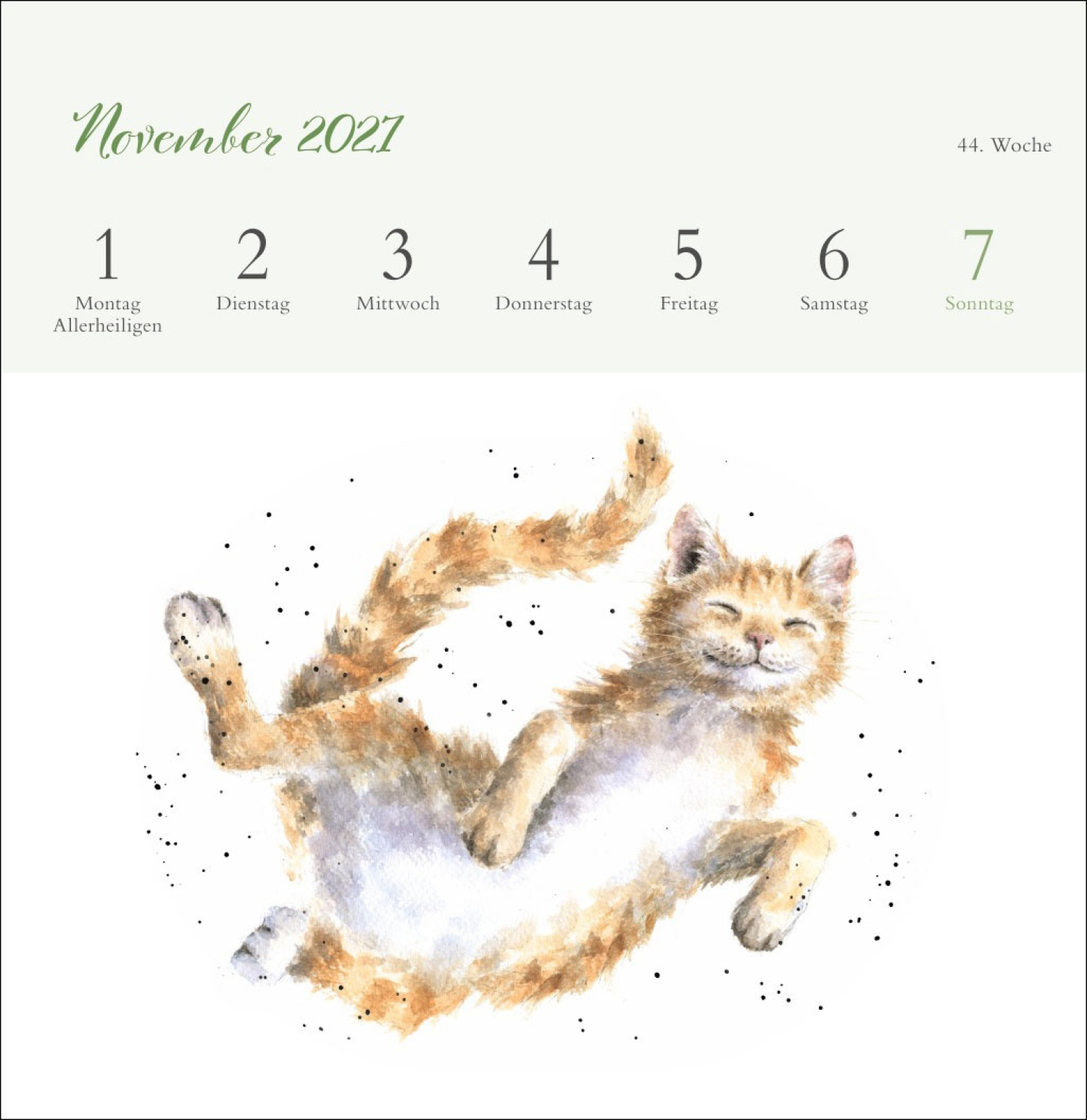 Happy Animals 2027, Produktbild 3