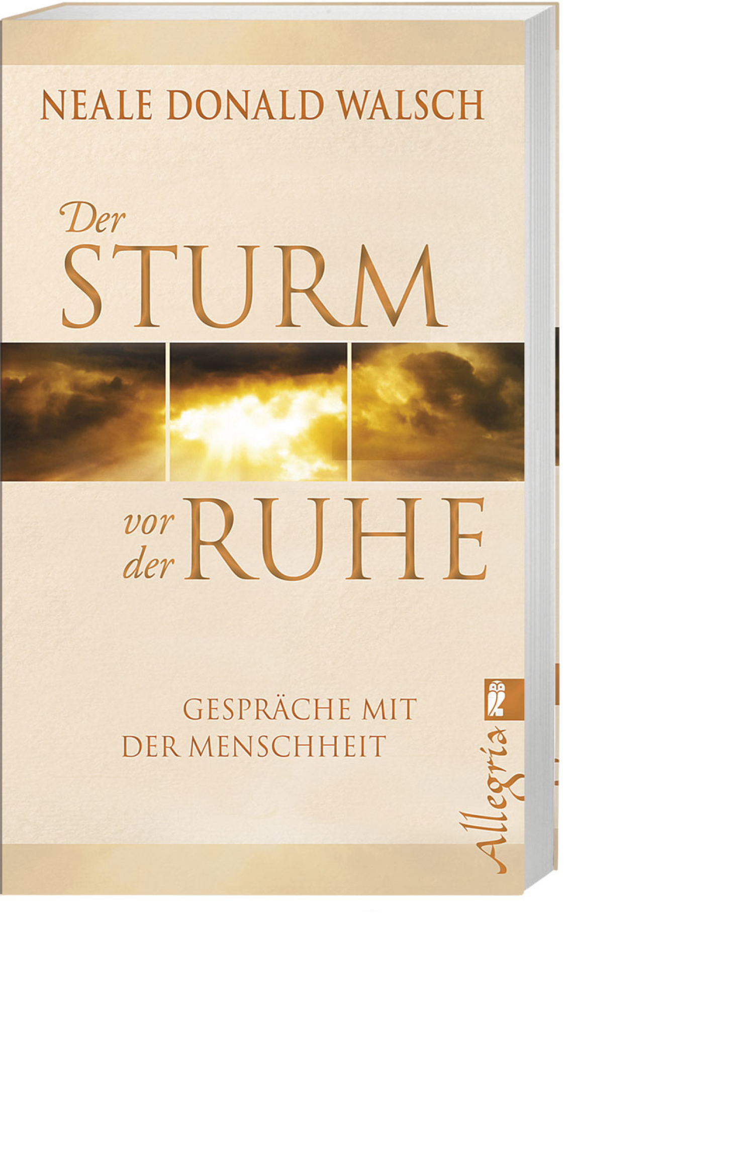 Der Sturm vor der Ruhe, Produktbild 1