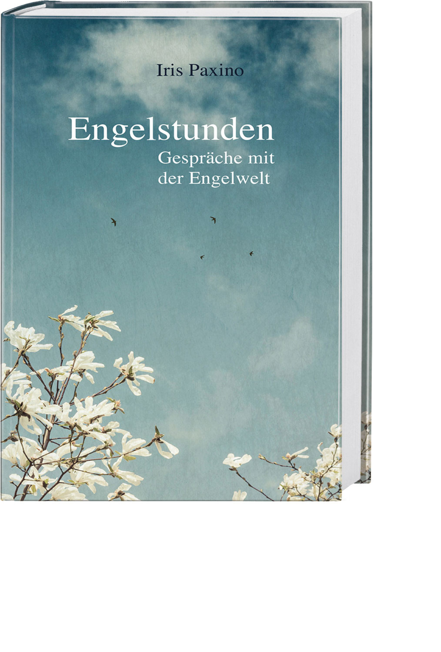 Engelstunden, Produktbild 1