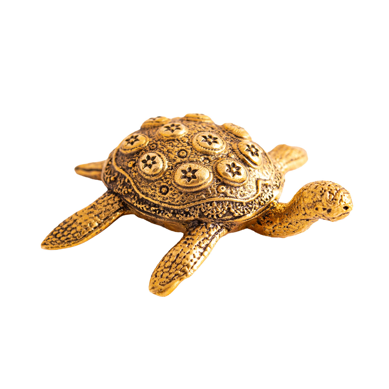 Schildkröte, Produktbild 1