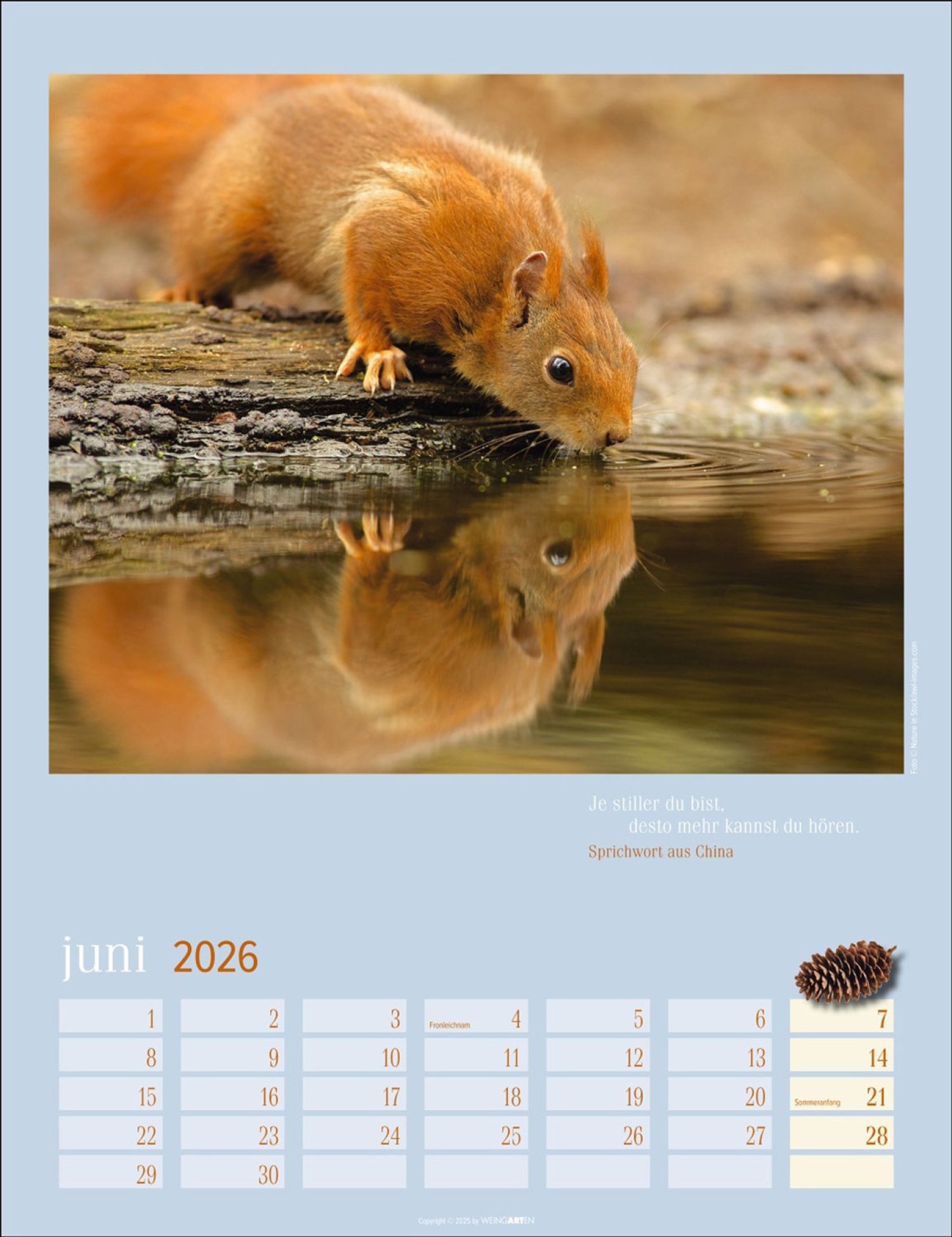 Eichhörnchen 2026, Produktbild 3