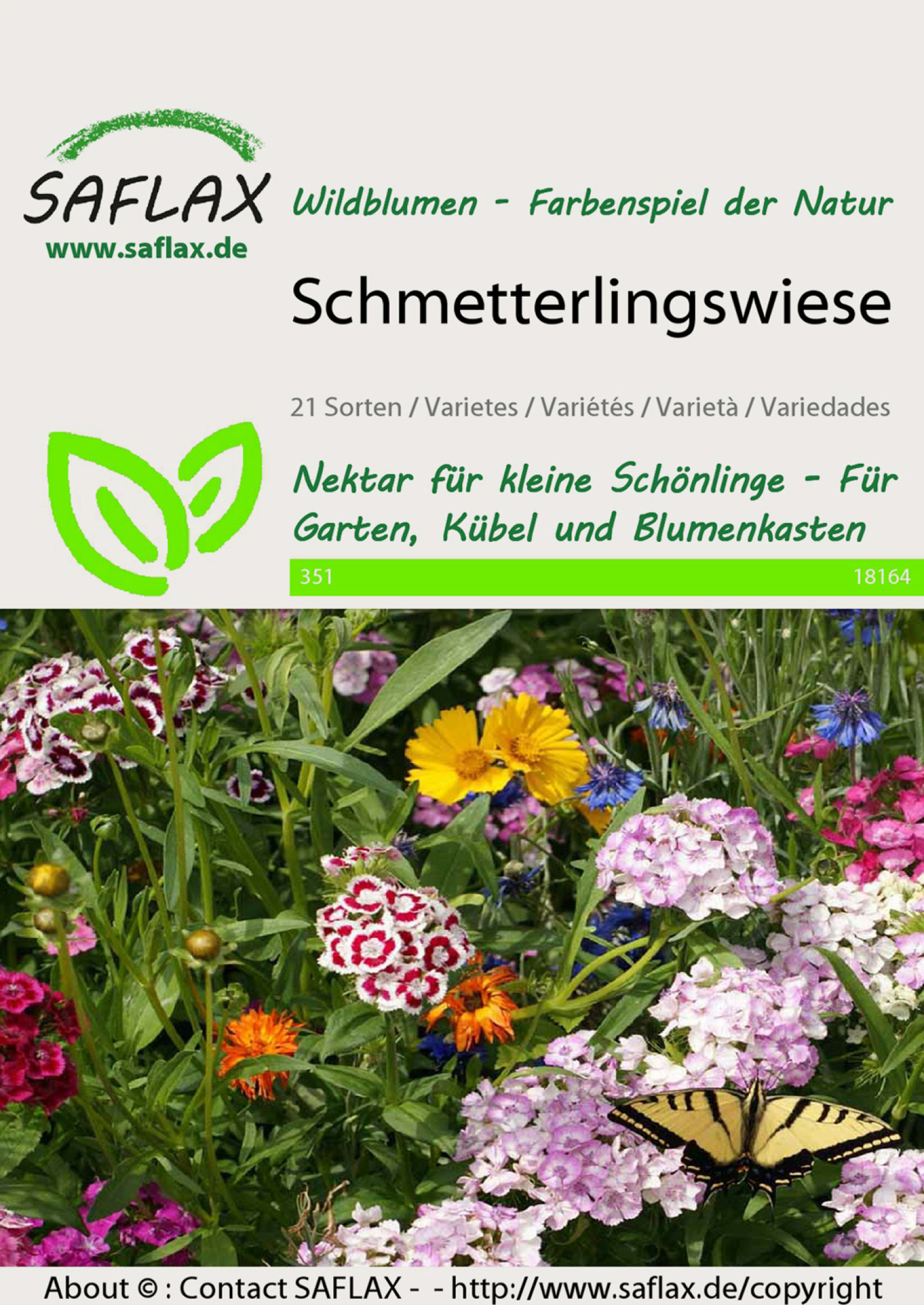 „Schmetterlingswiese“ Wildblumen-Mischung, Samen, Produktbild 1