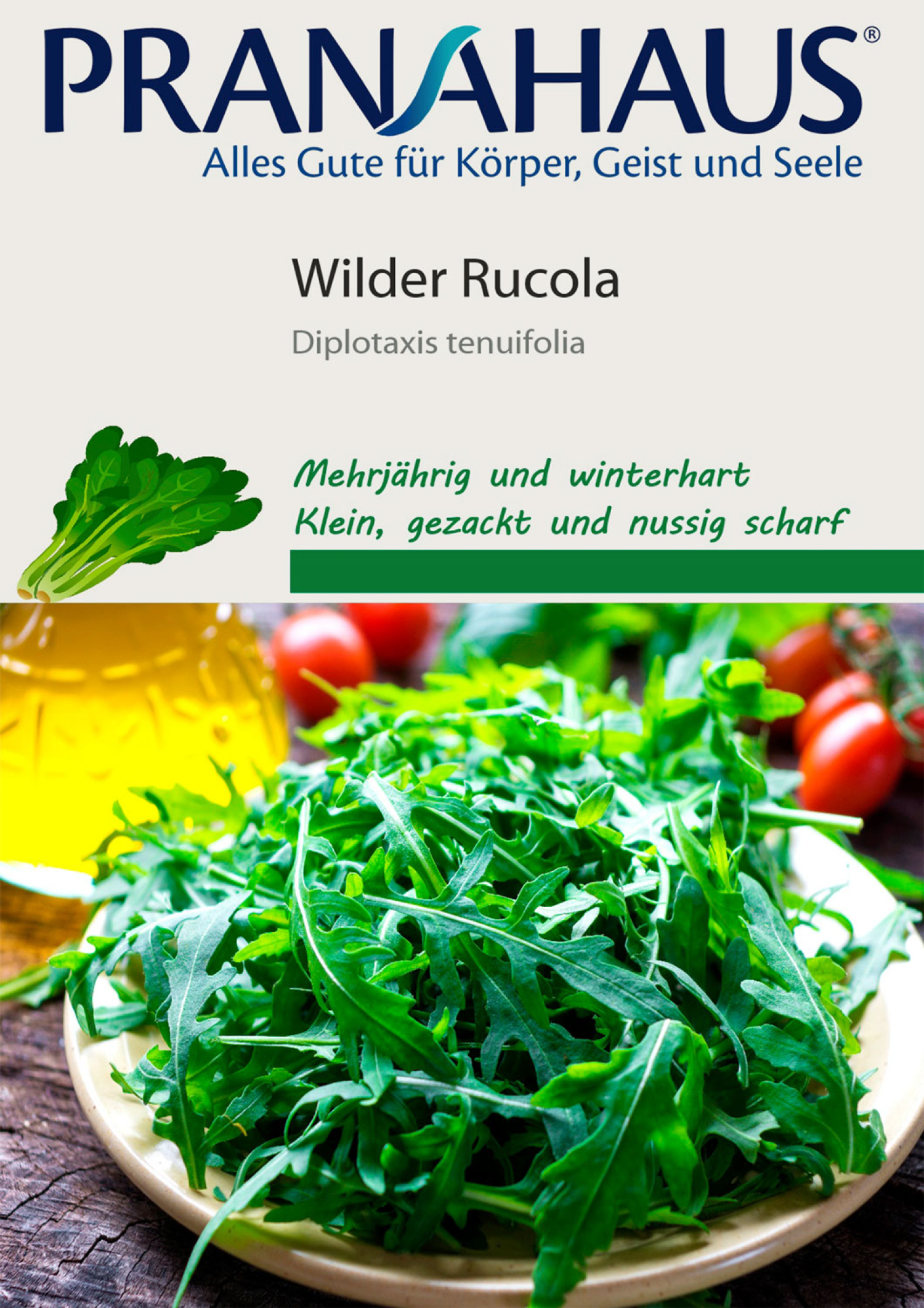 Wilder Rucola, Samen, Produktbild 1