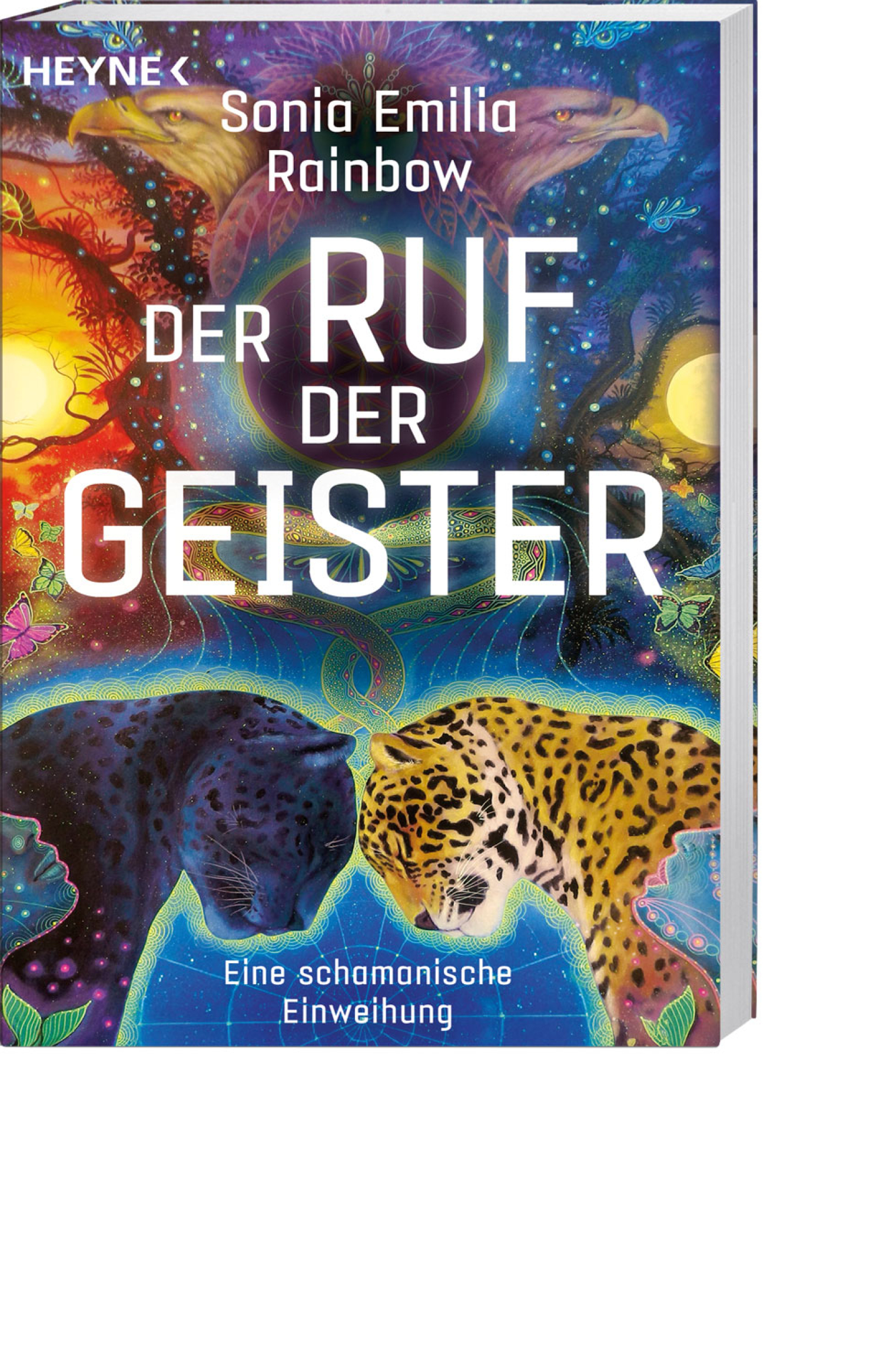 Der Ruf der Geister, Produktbild 1