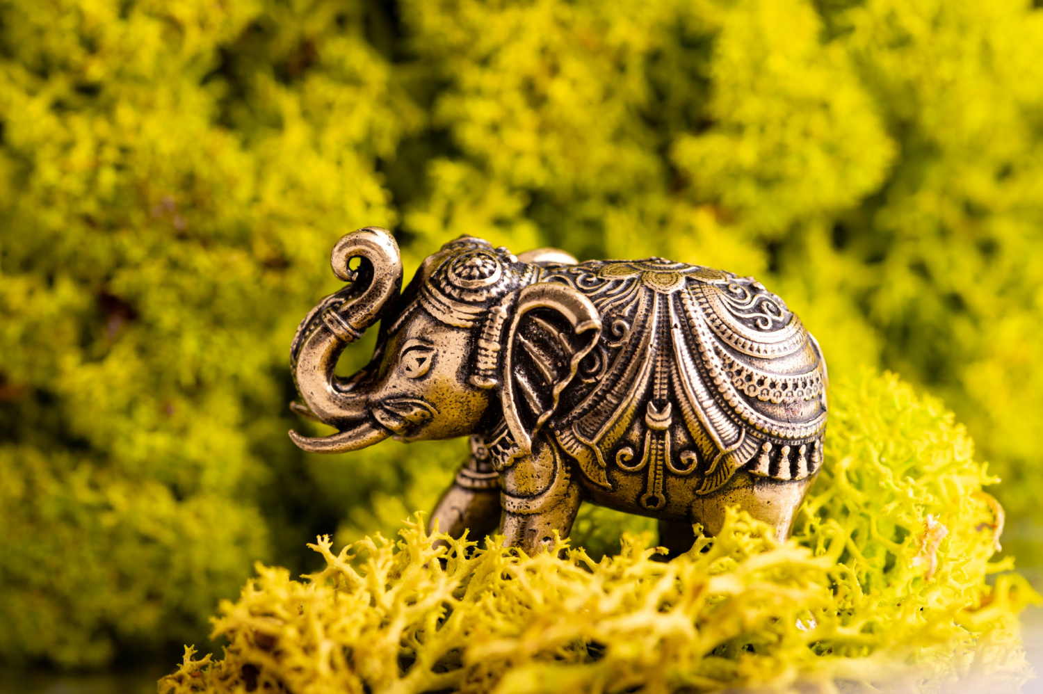 Glückselefant, Produktbild 2