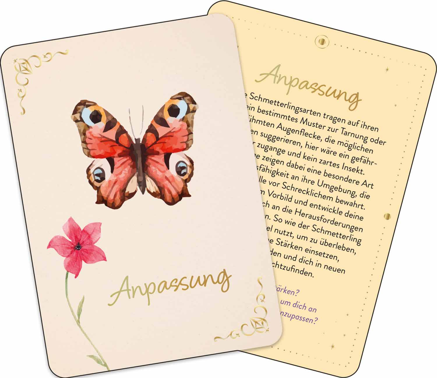 Zauber der Schmetterlinge, Produktbild 3