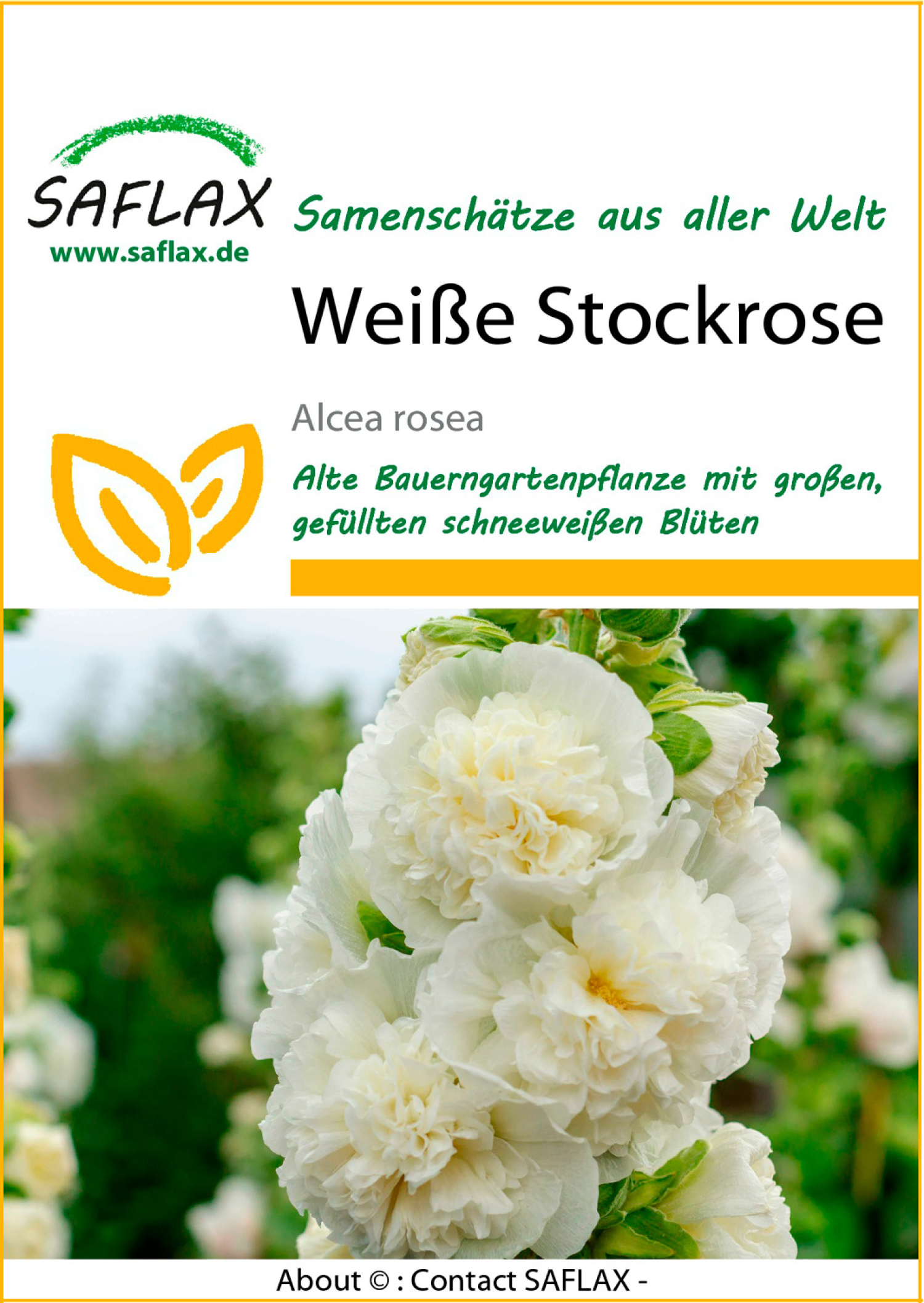Stockrose weiß, Samen, Produktbild 1