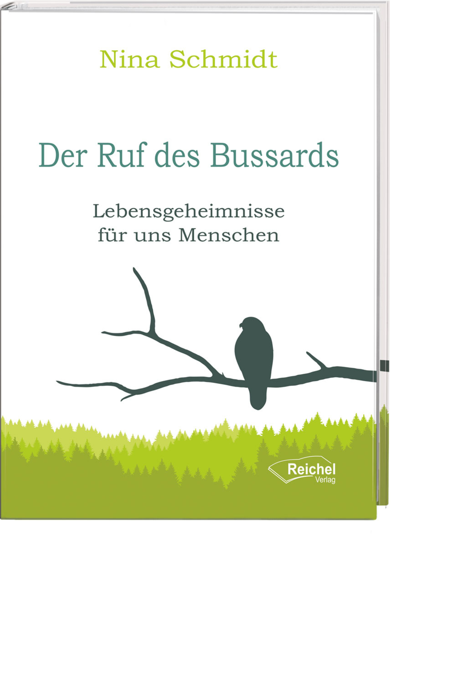 Der Ruf des Bussards, Produktbild 1