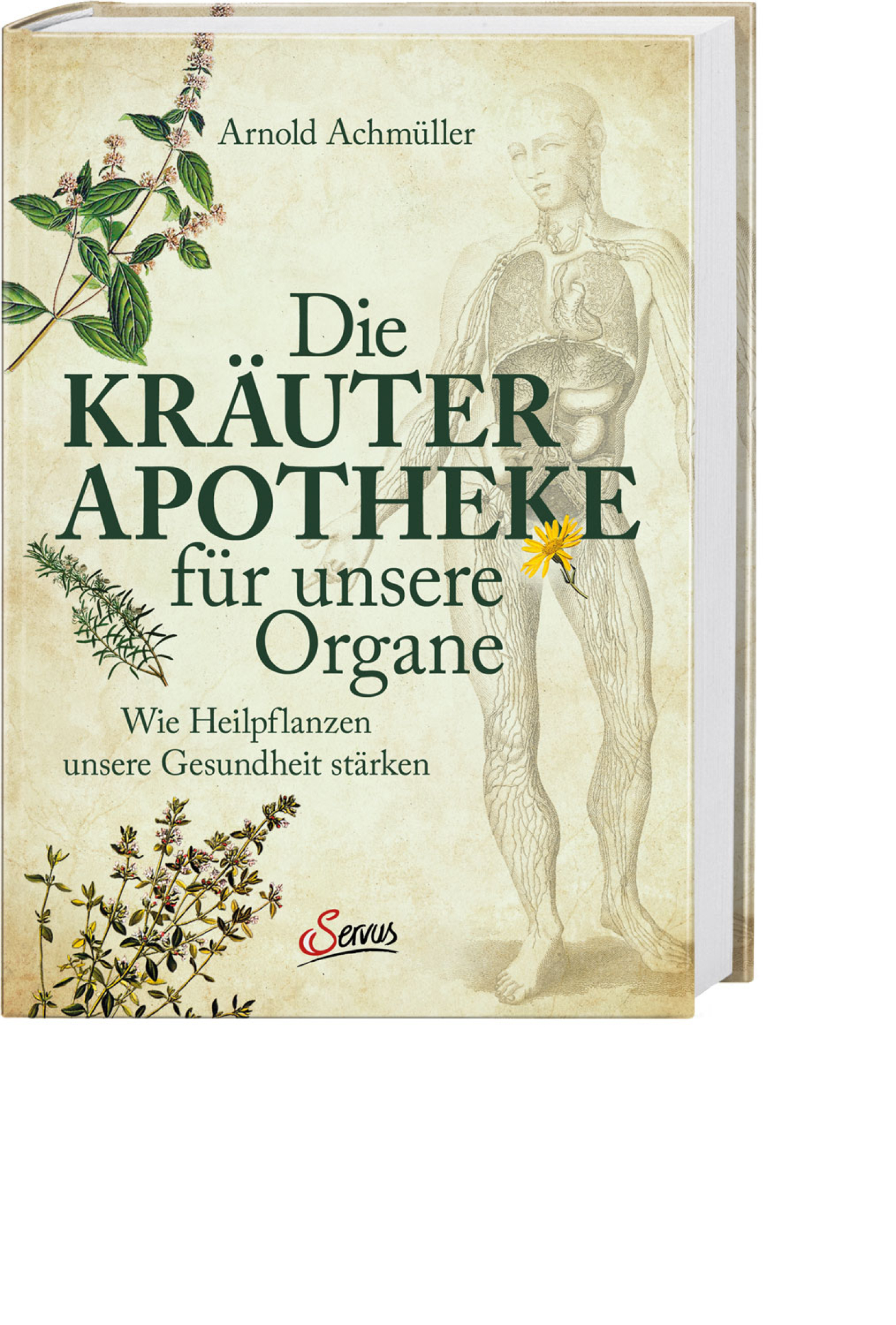 Die Kräuter-Apotheke für unsere Organe, Produktbild 1