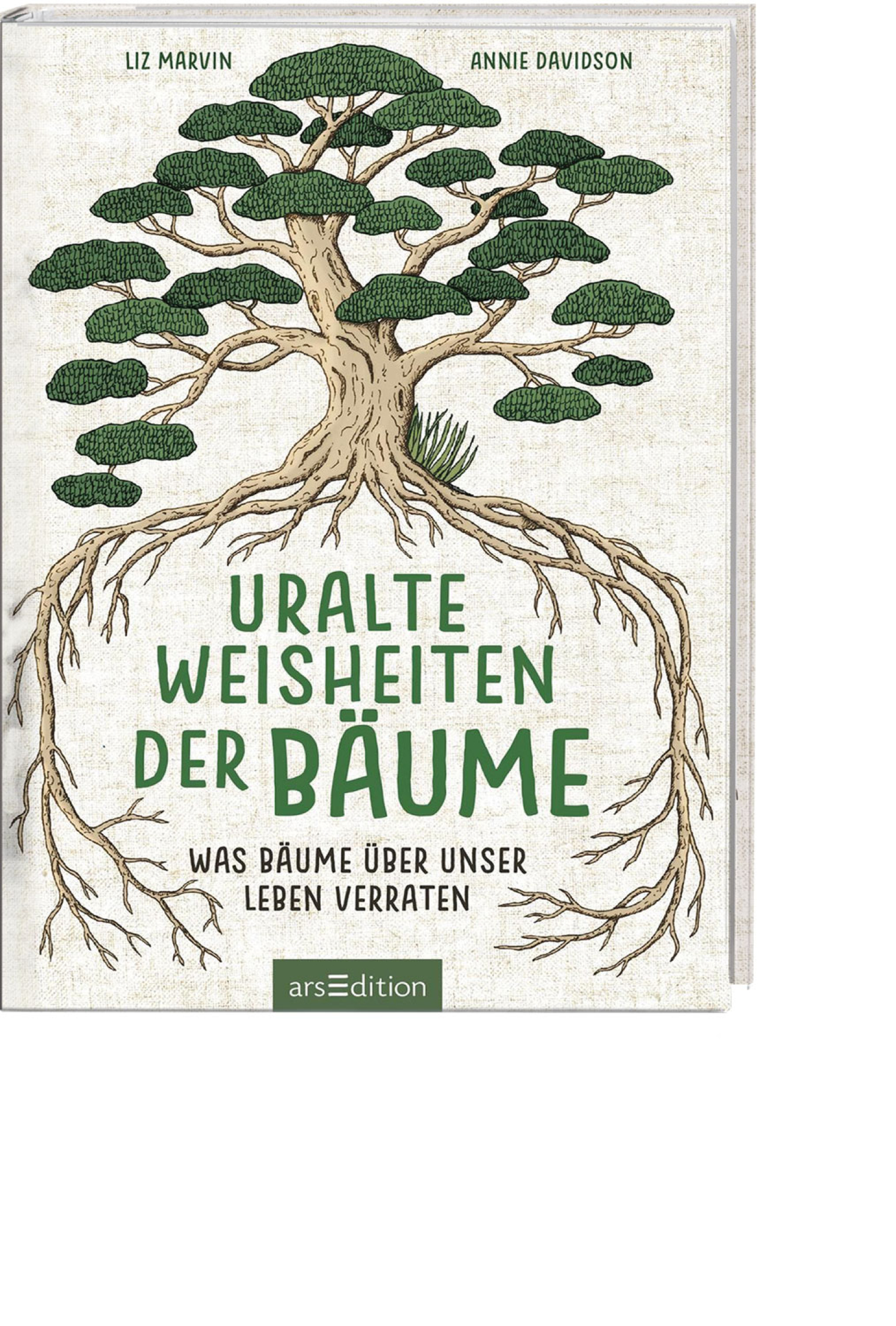 Uralte Weisheiten der Bäume, Produktbild 1