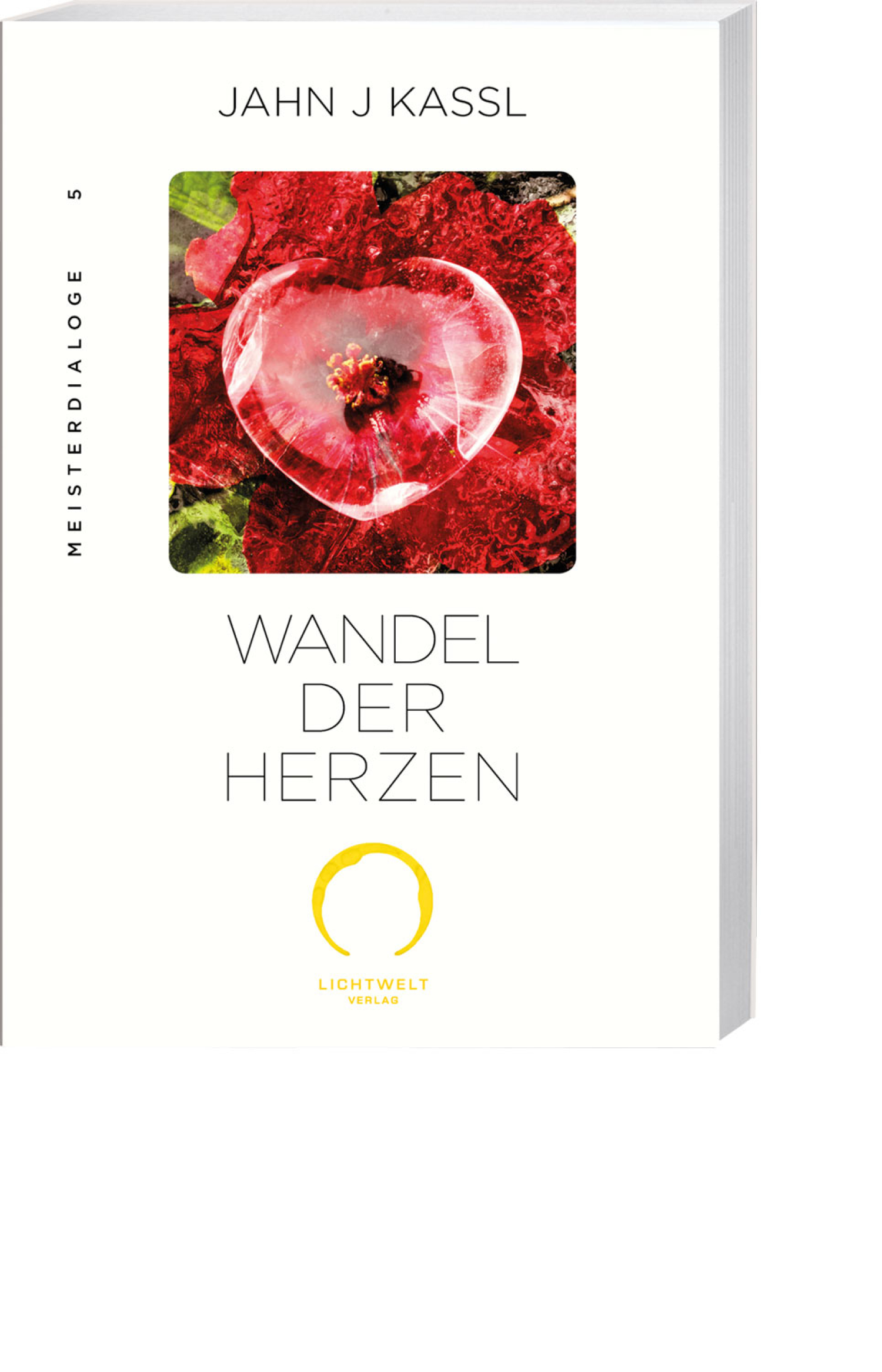 Wandel der Herzen, Produktbild 1
