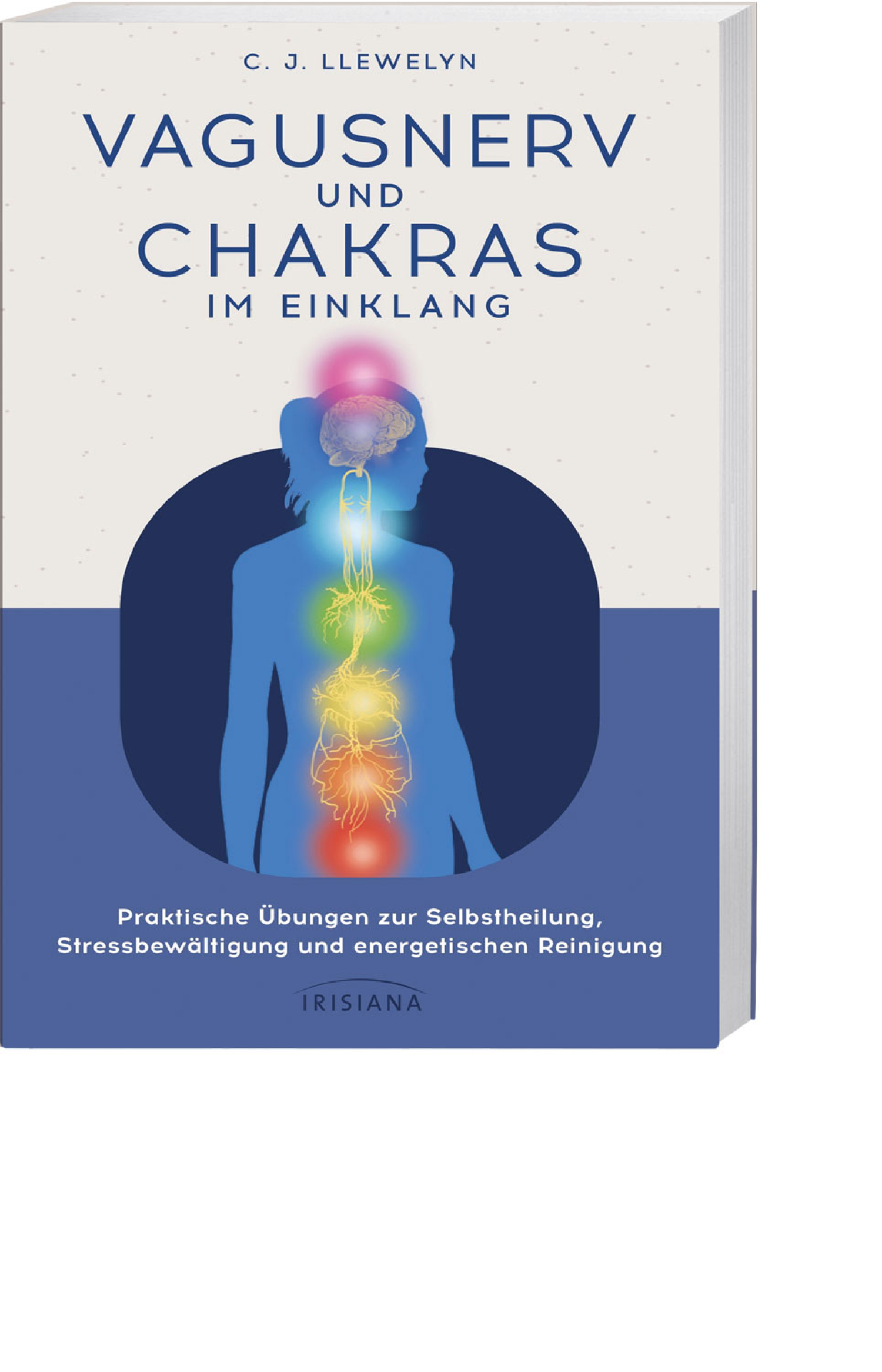 Vagusnerv und Chakras im Einklang, Produktbild 1