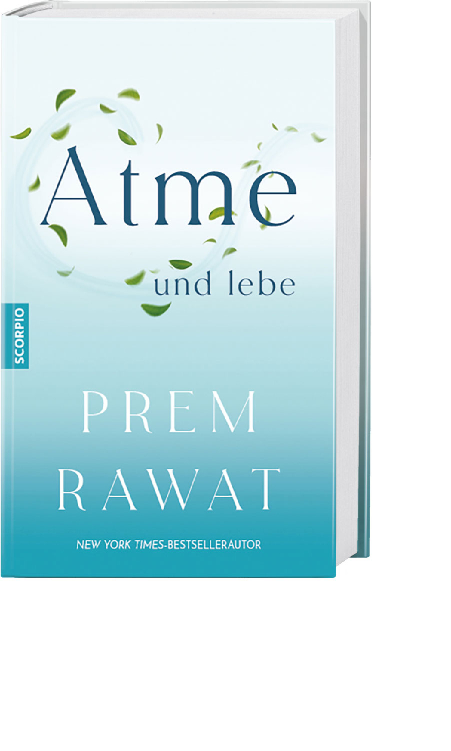 Atme und lebe, Produktbild 1