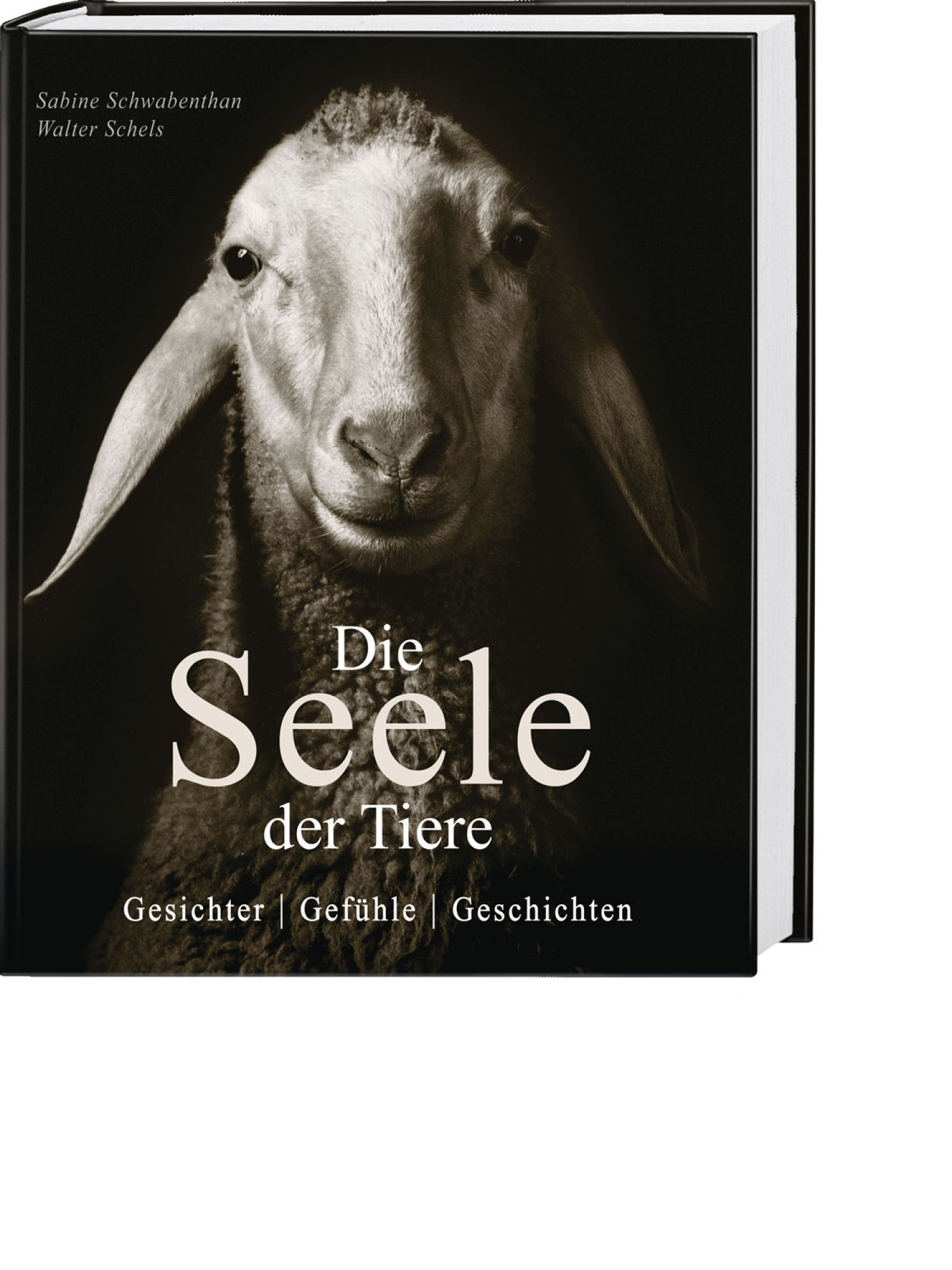 Die Seele der Tiere, Produktbild 1