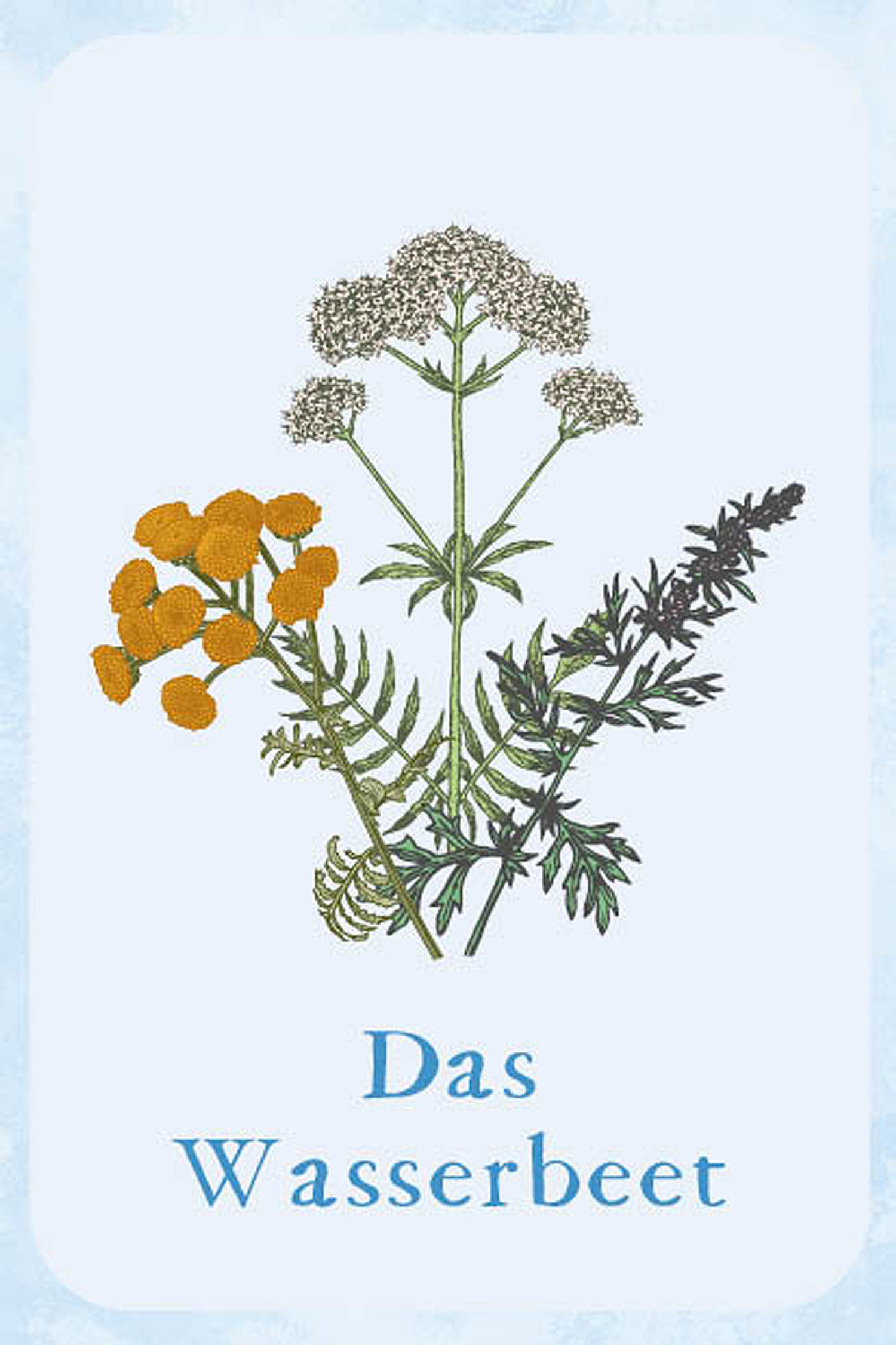 Magie im Hexengarten, Produktbild 5