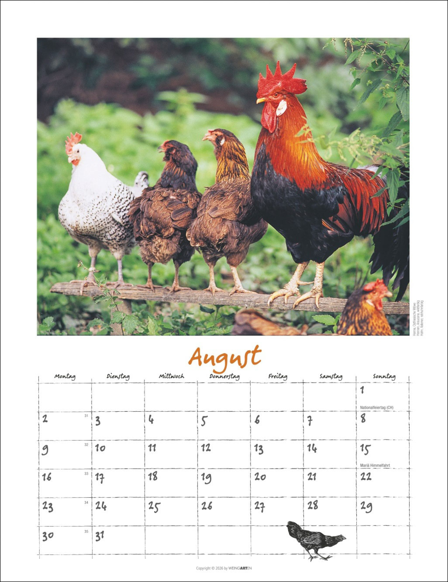 Der Hühnerkalender 2027, Produktbild 3