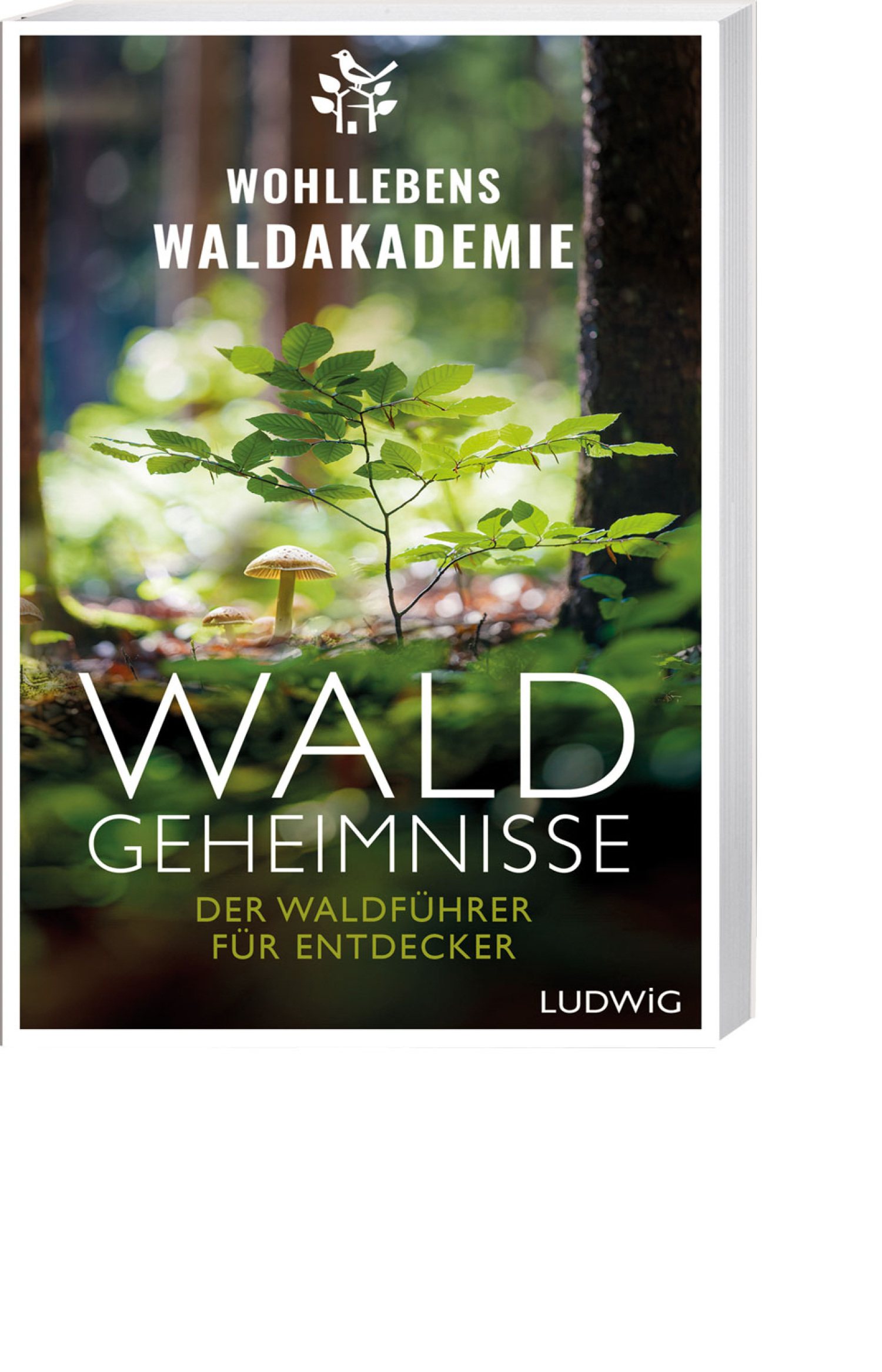 Waldgeheimnisse, Produktbild 1