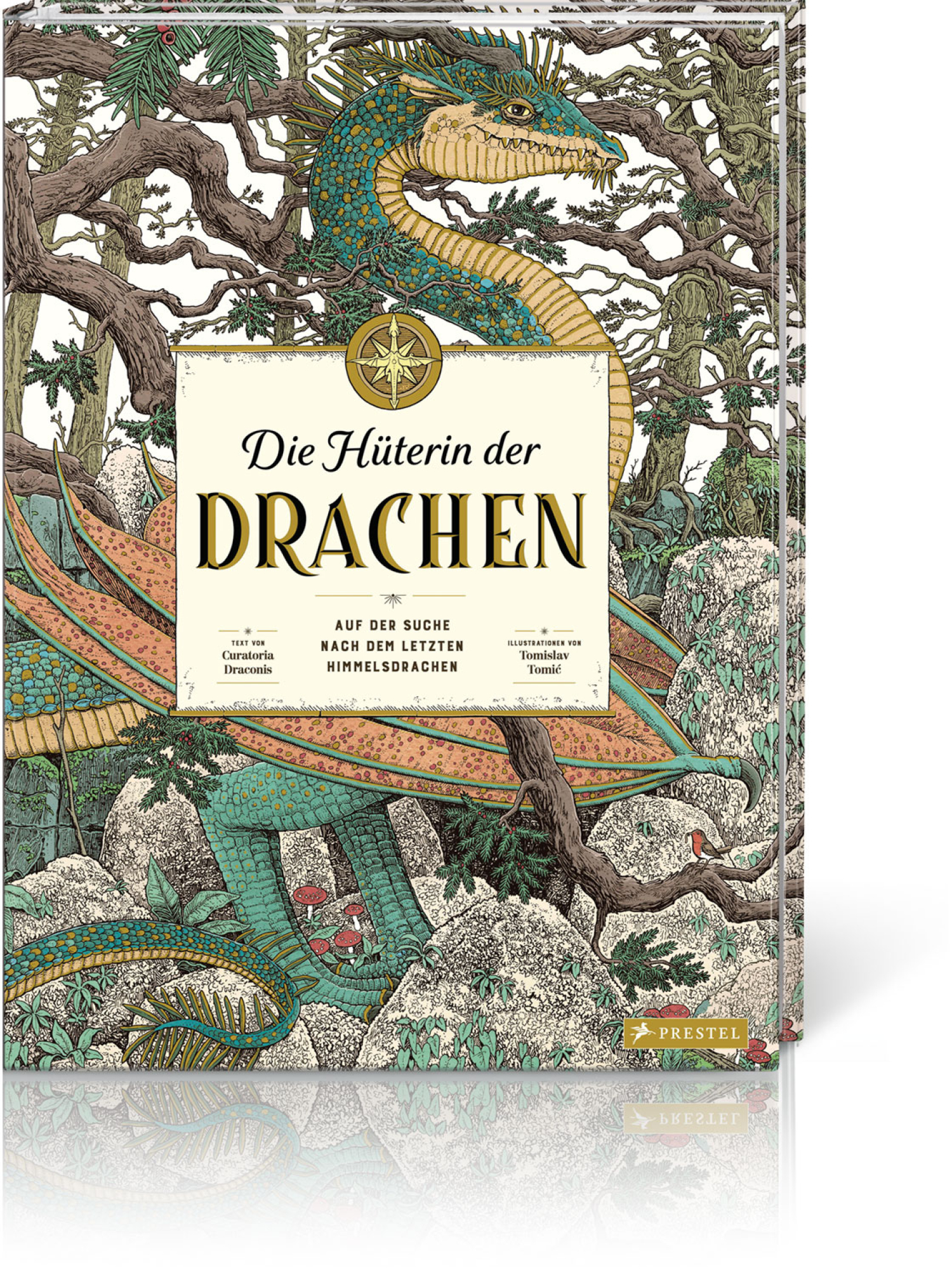 Die Hüterin der Drachen, Produktbild 1