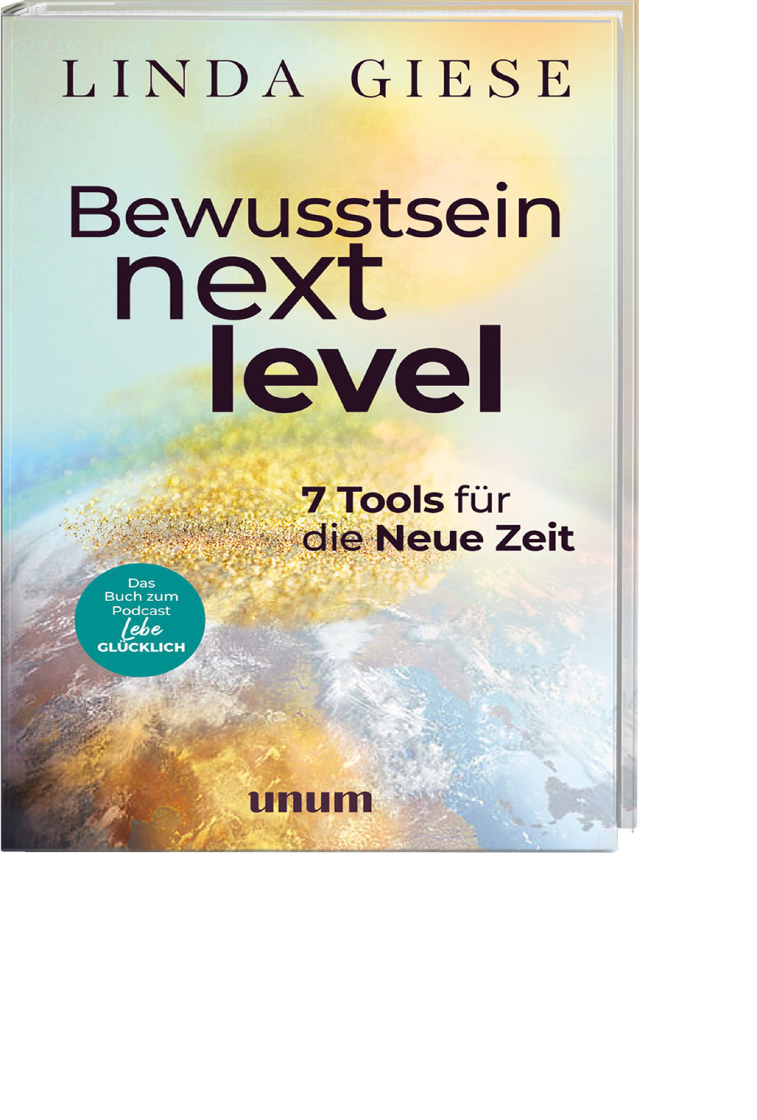 Bewusstsein Next Level, Produktbild 1