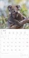 Tierbabys – Baby Animals 2027, Produktbild 2