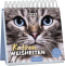 Katzenweisheiten 2027, Produktbild 1