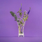 VitaJuwel® Glasvase FLORA „Blume des Lebens”, Produktbild 7